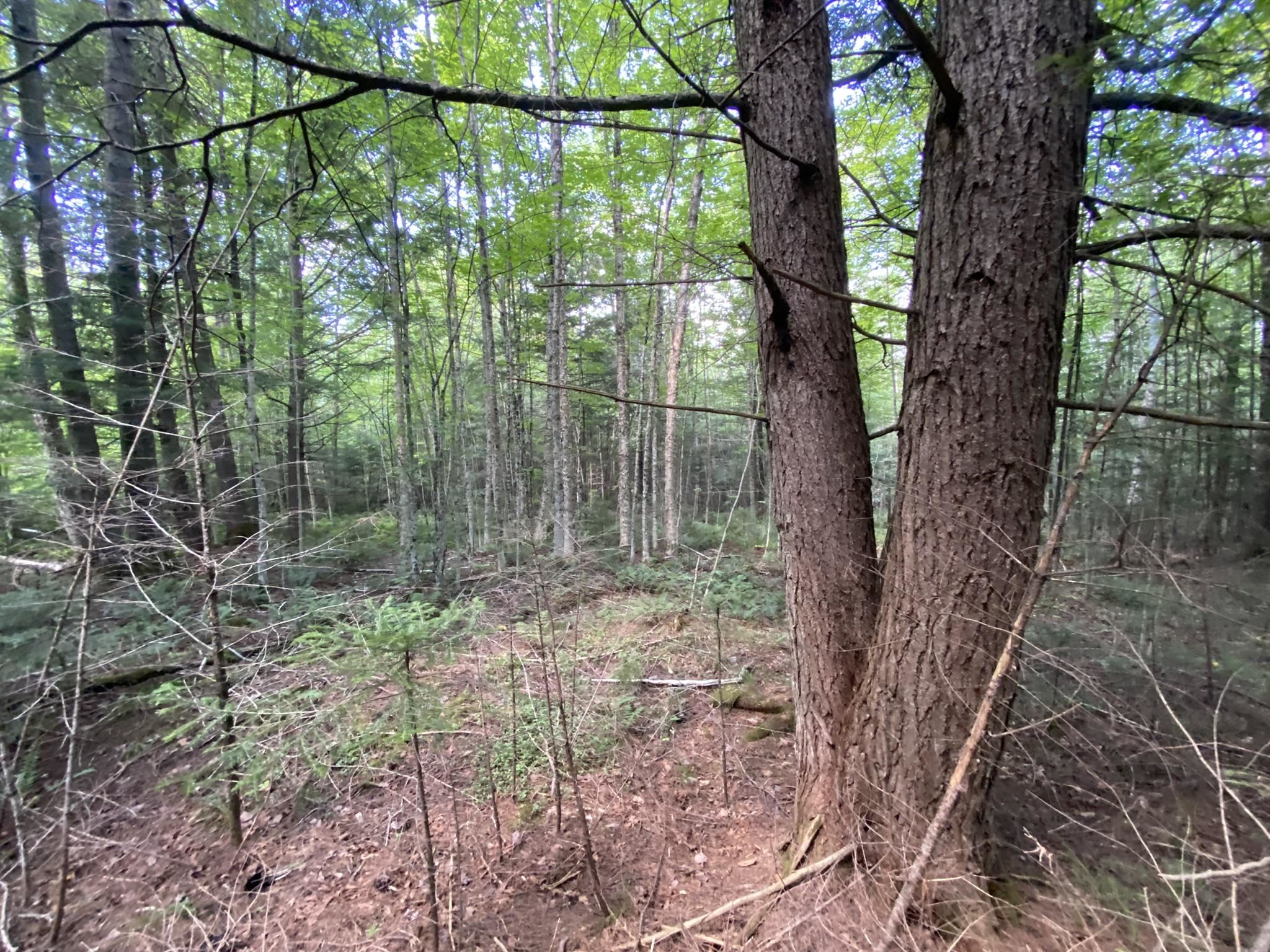 0 Fall Brook Road Property Photo 6