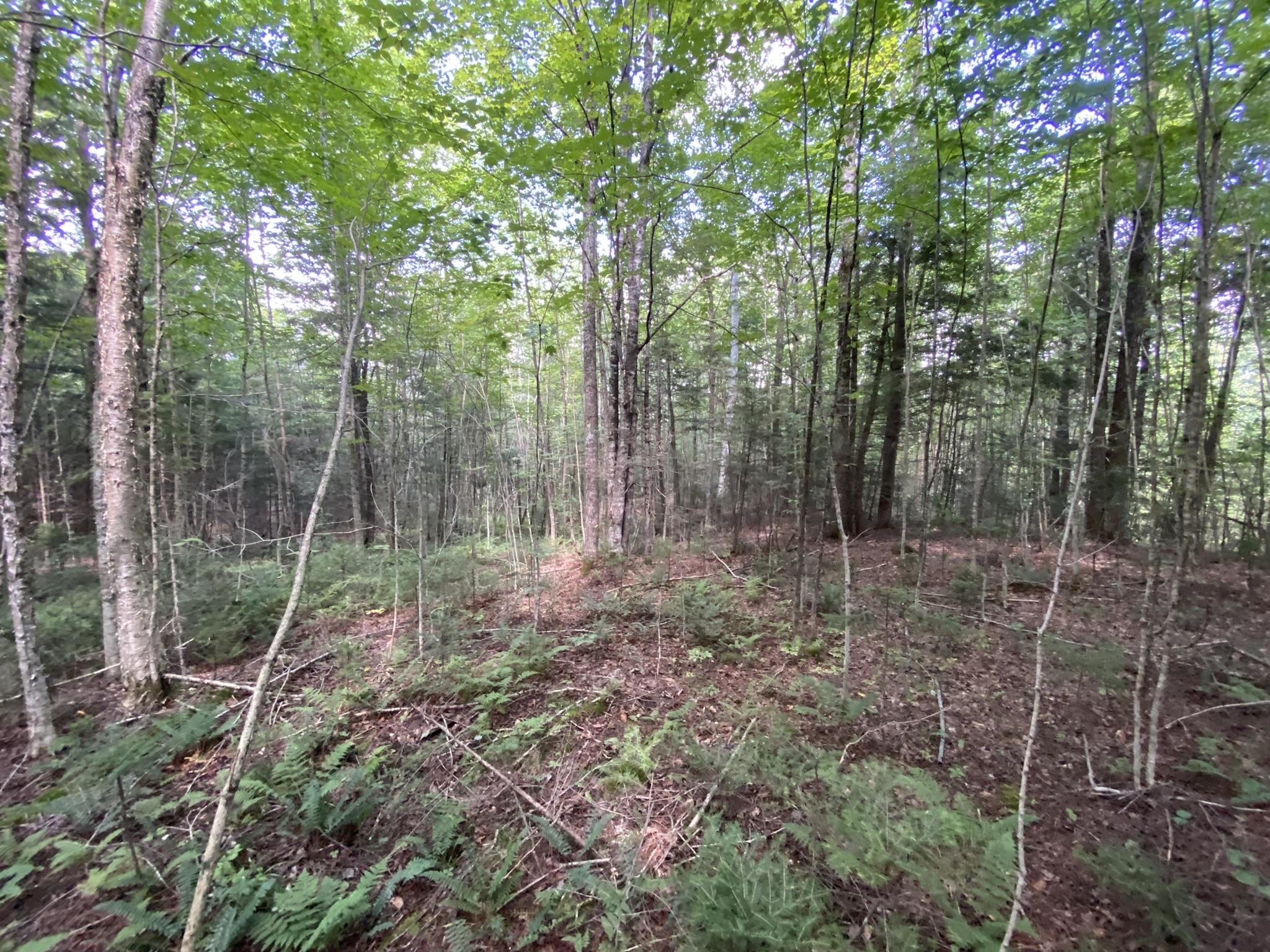 0 Fall Brook Road Property Photo 7