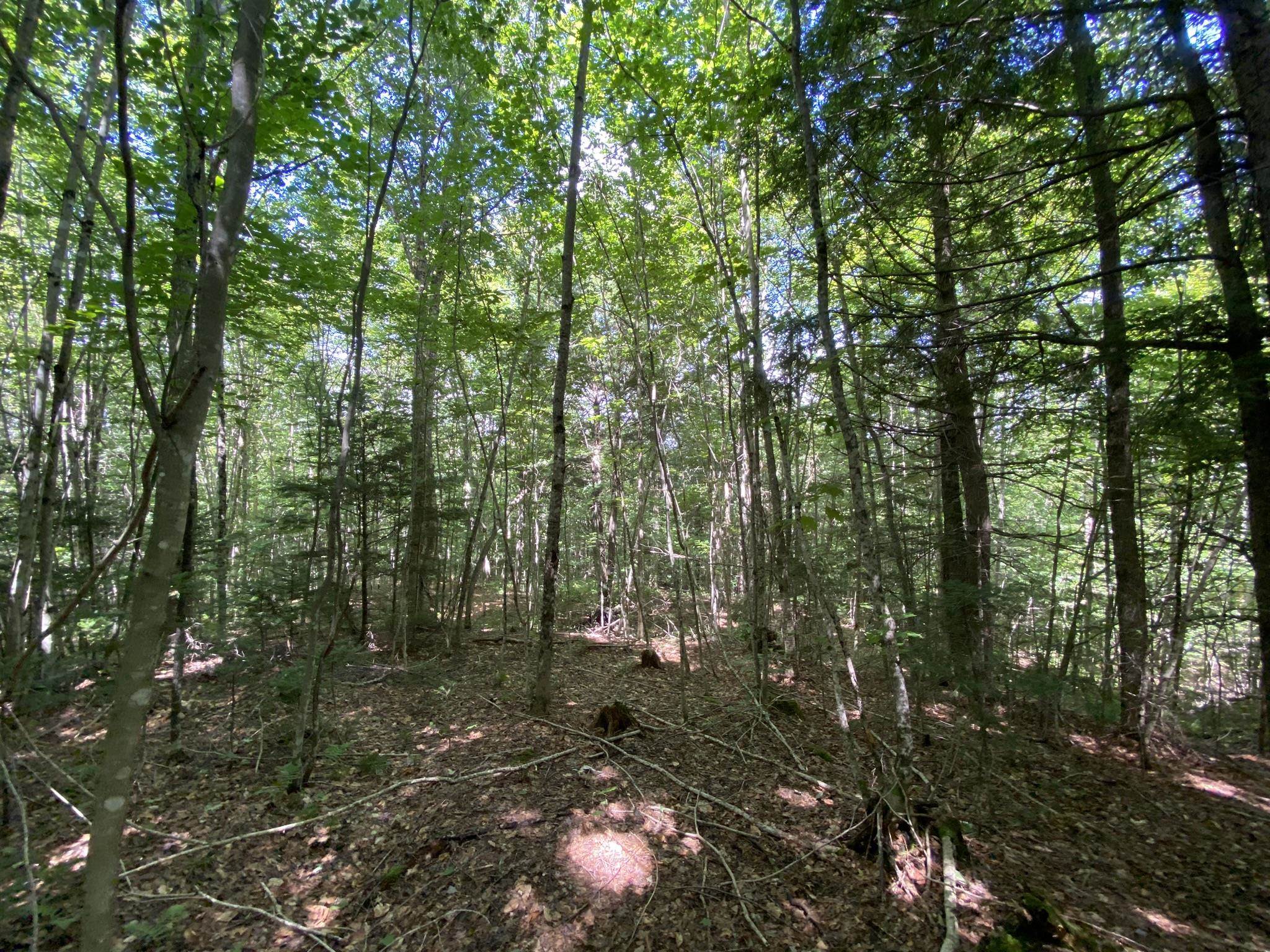 0 Fall Brook Road Property Photo 10