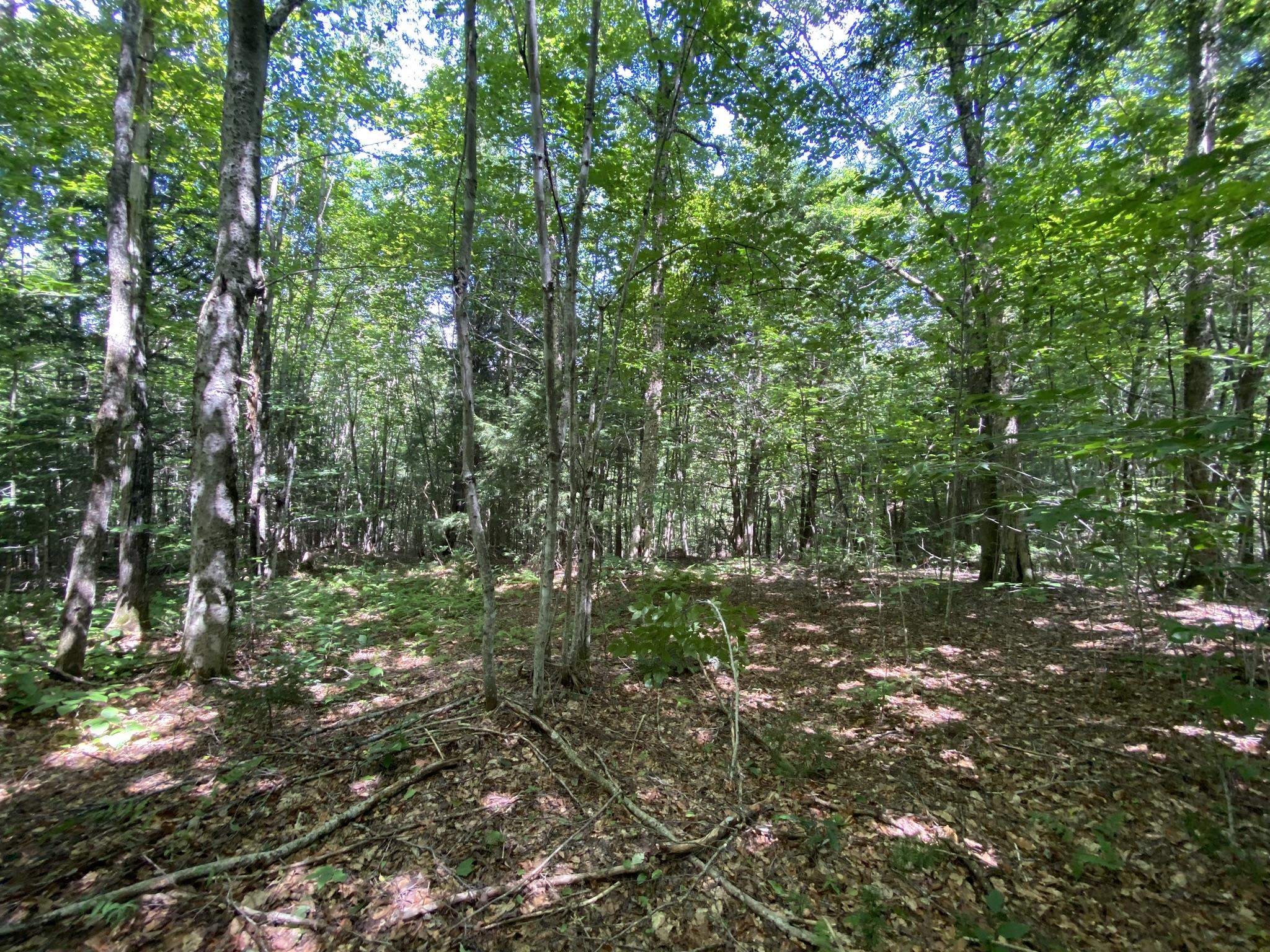 0 Fall Brook Road Property Photo 11