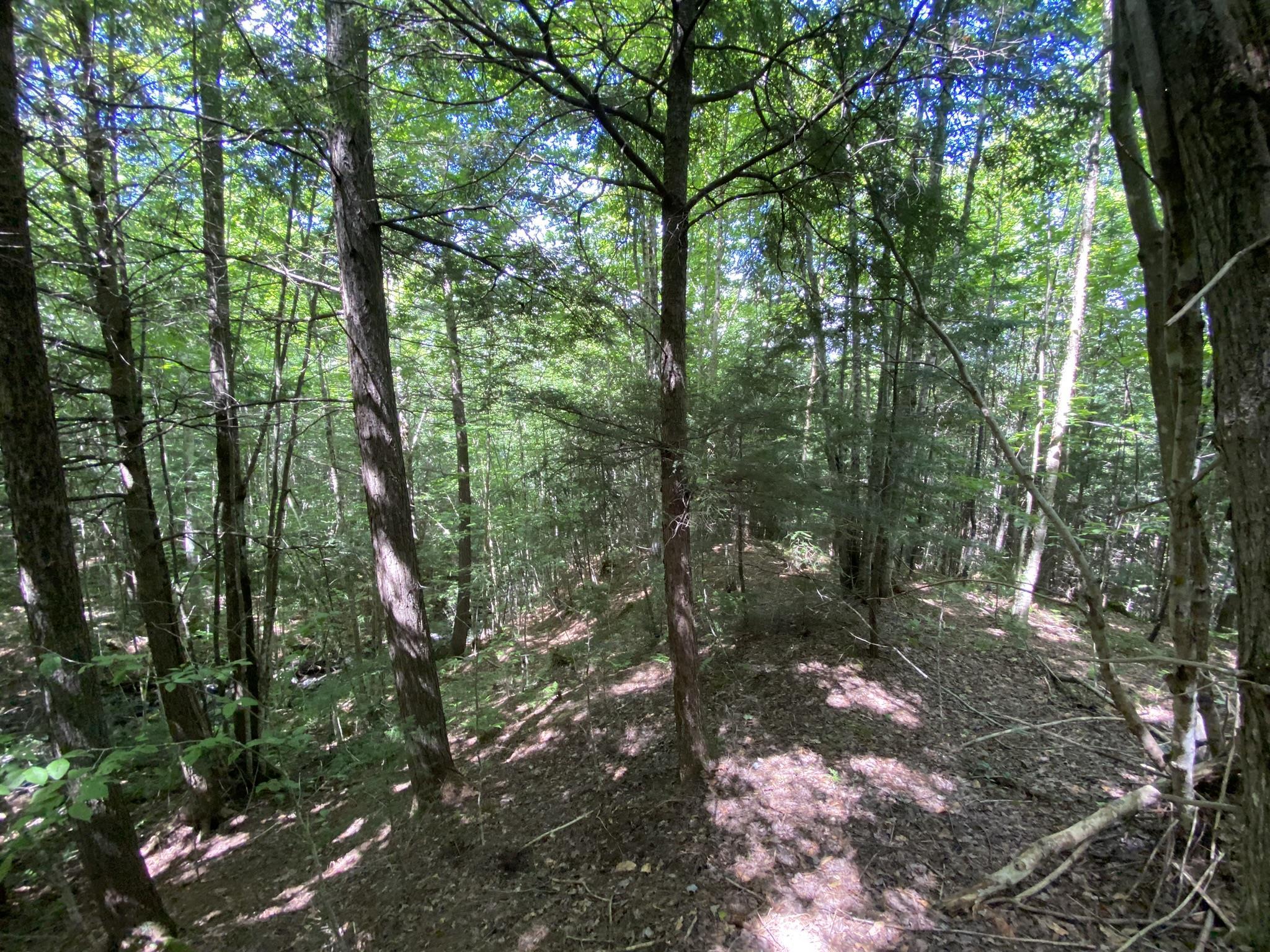 0 Fall Brook Road Property Photo 18