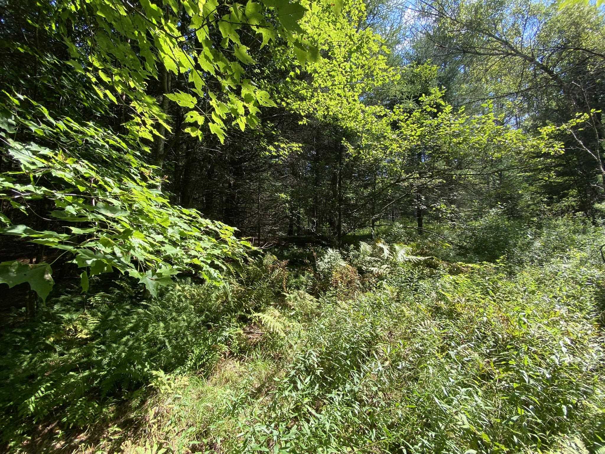 0 Fall Brook Road Property Photo 26