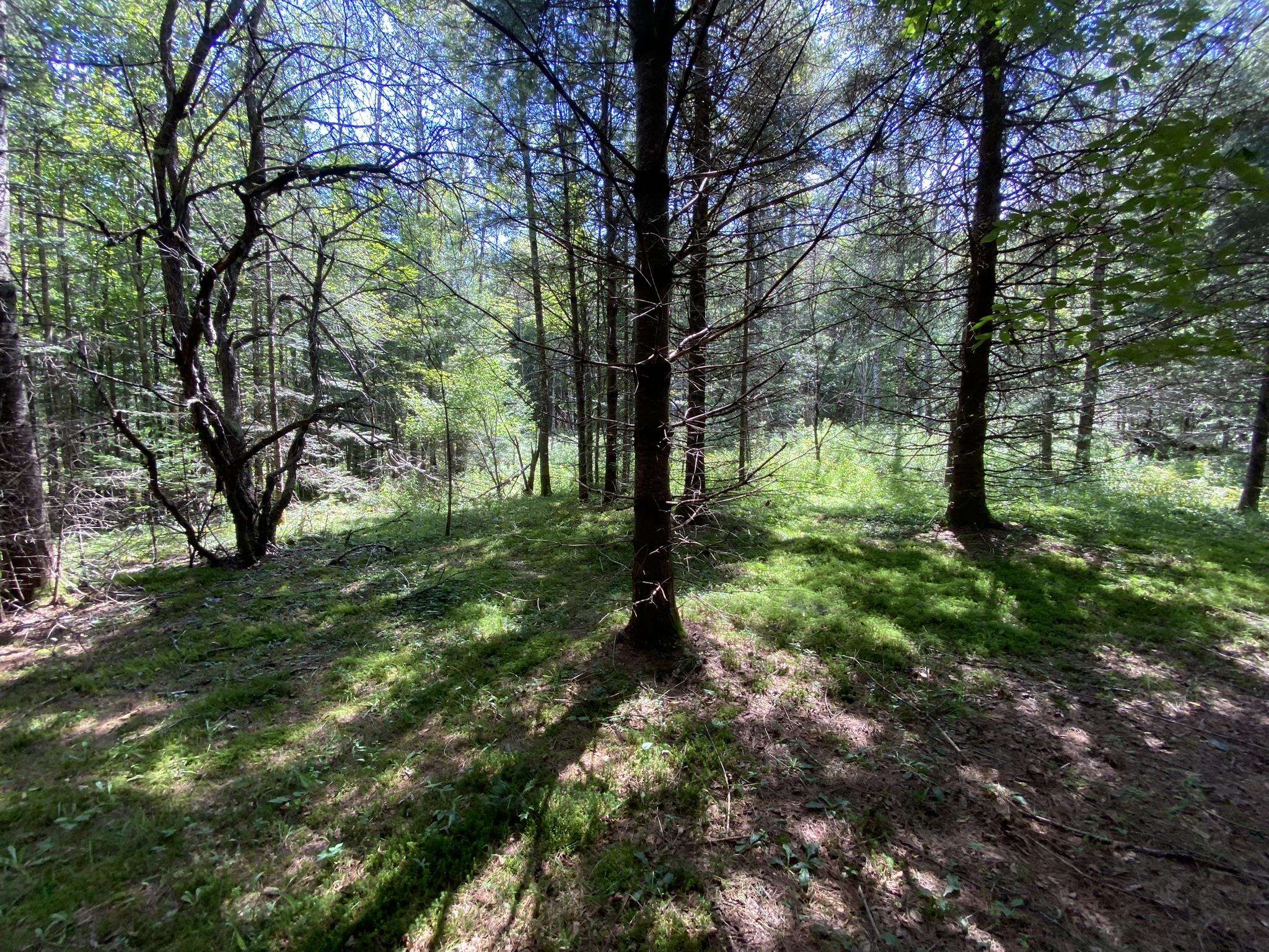 0 Fall Brook Road Property Photo 27
