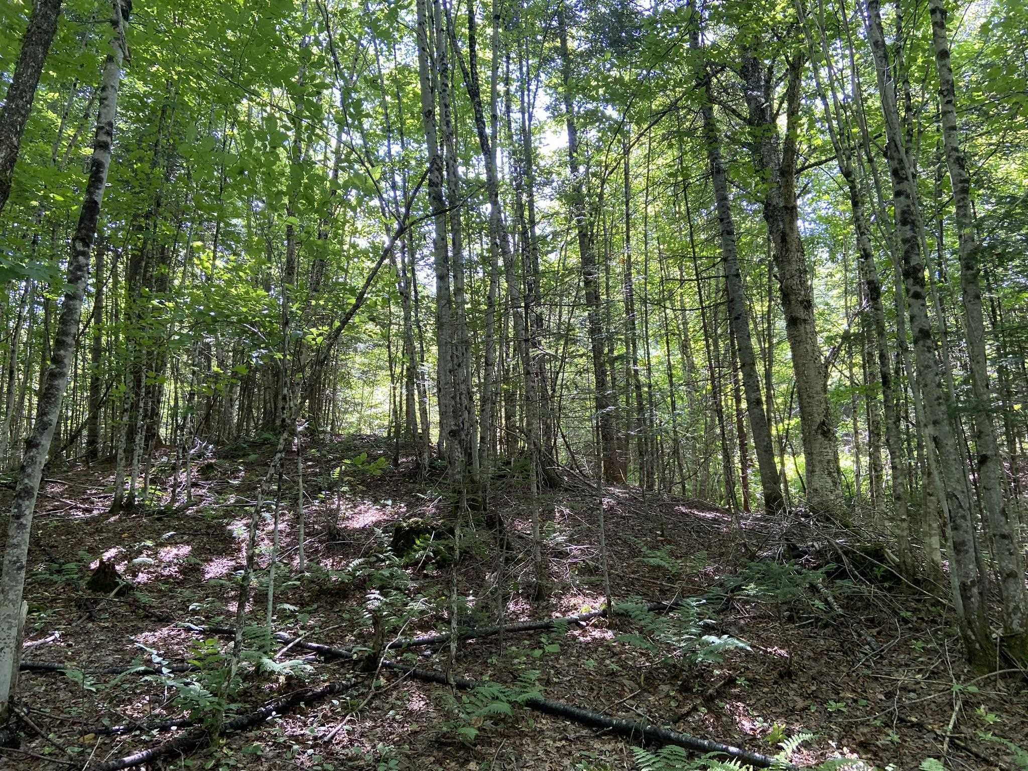 0 Fall Brook Road Property Photo 33