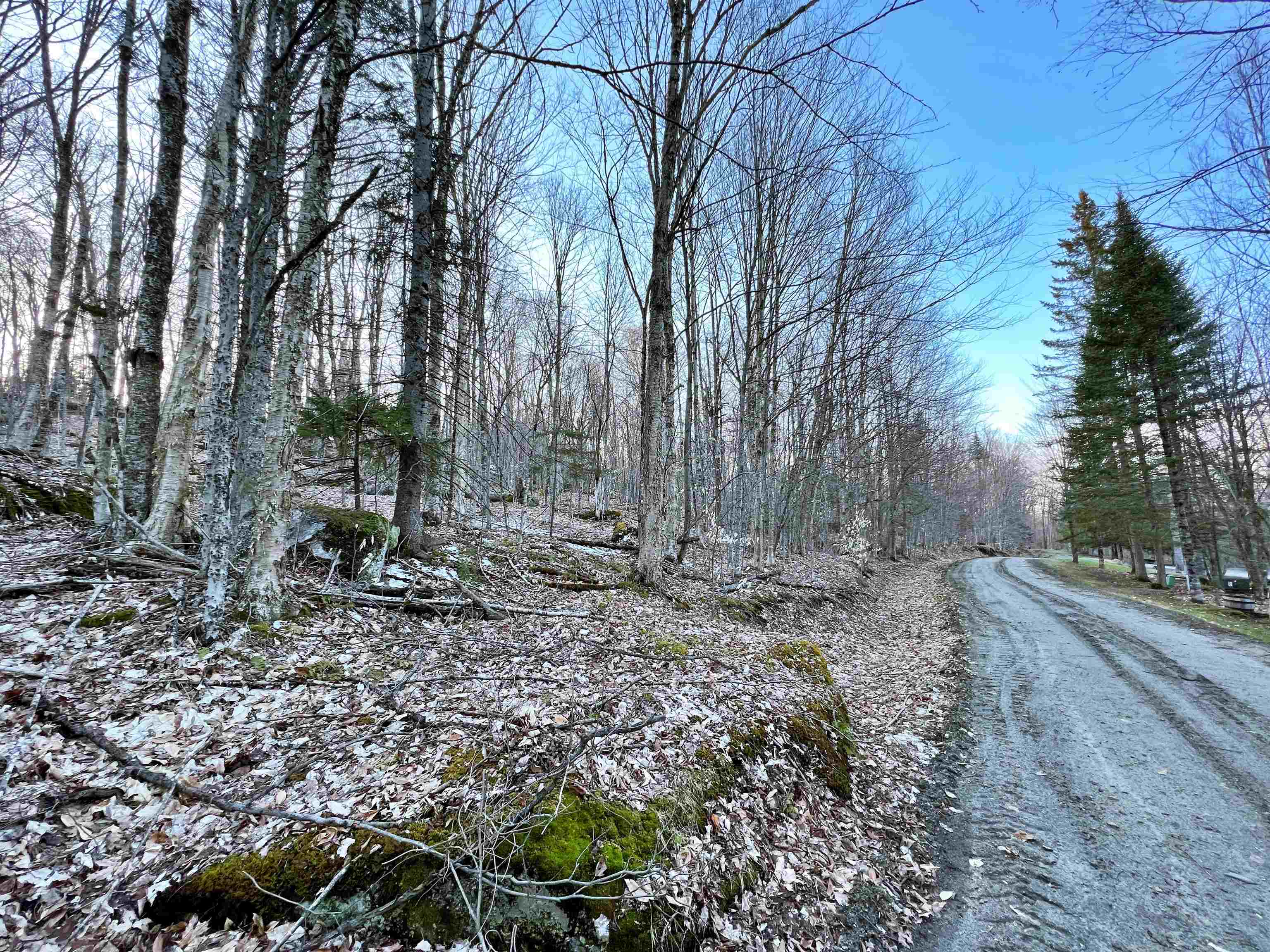 - Old Quarry Road Property Photo 10