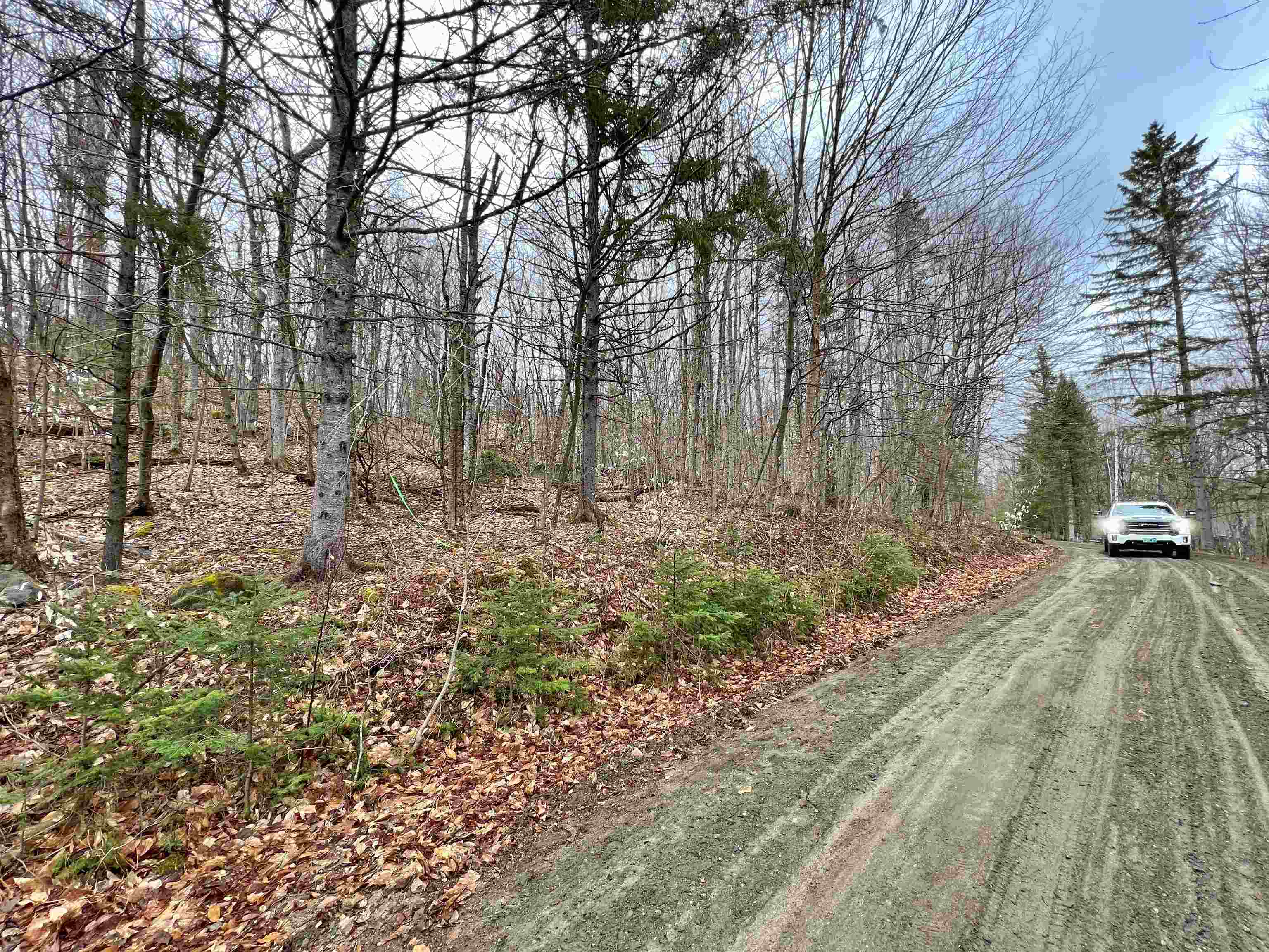 - Old Quarry Road Property Photo 11