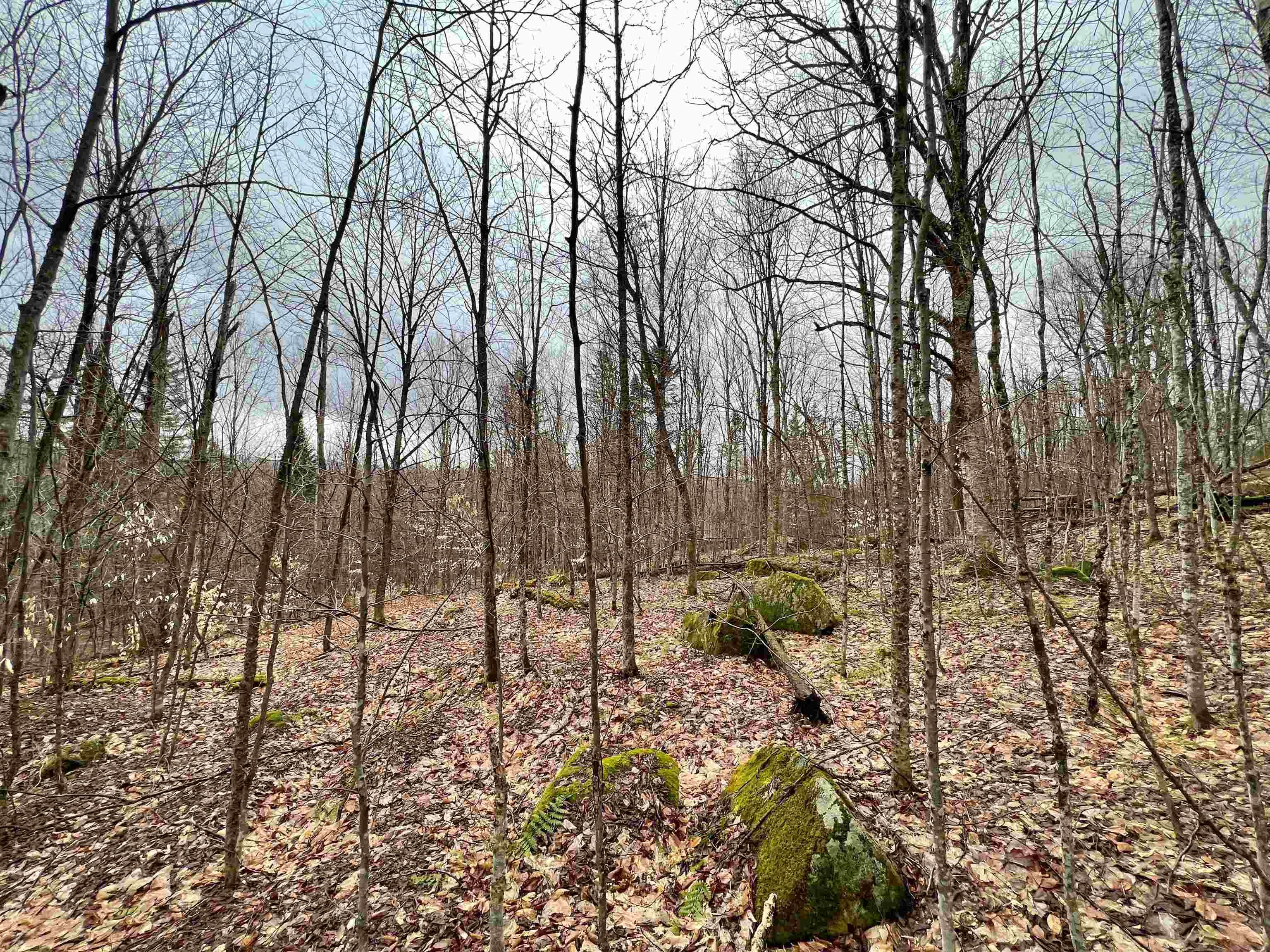 - Old Quarry Road Property Photo 12