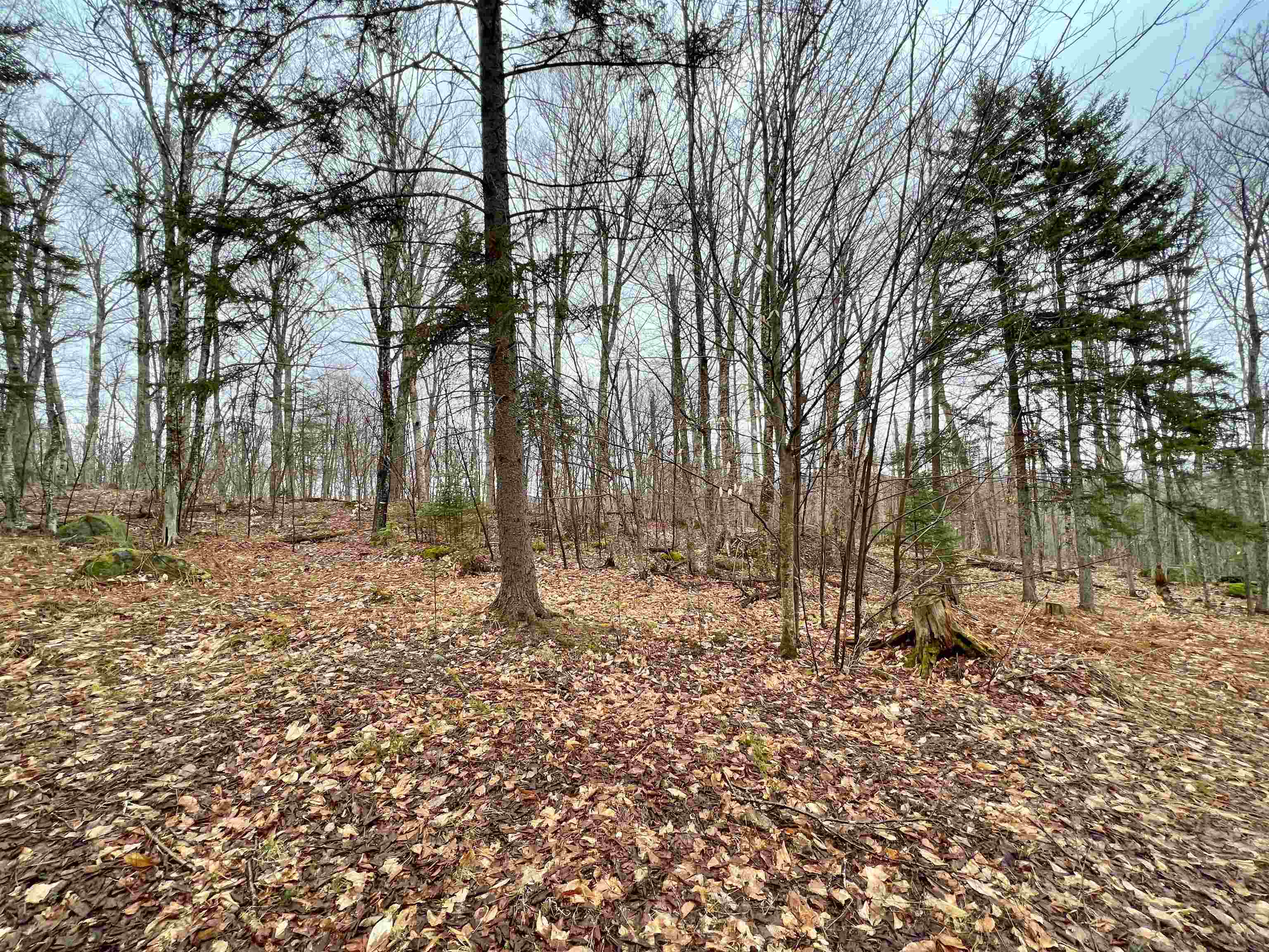 - Old Quarry Road Property Photo 13