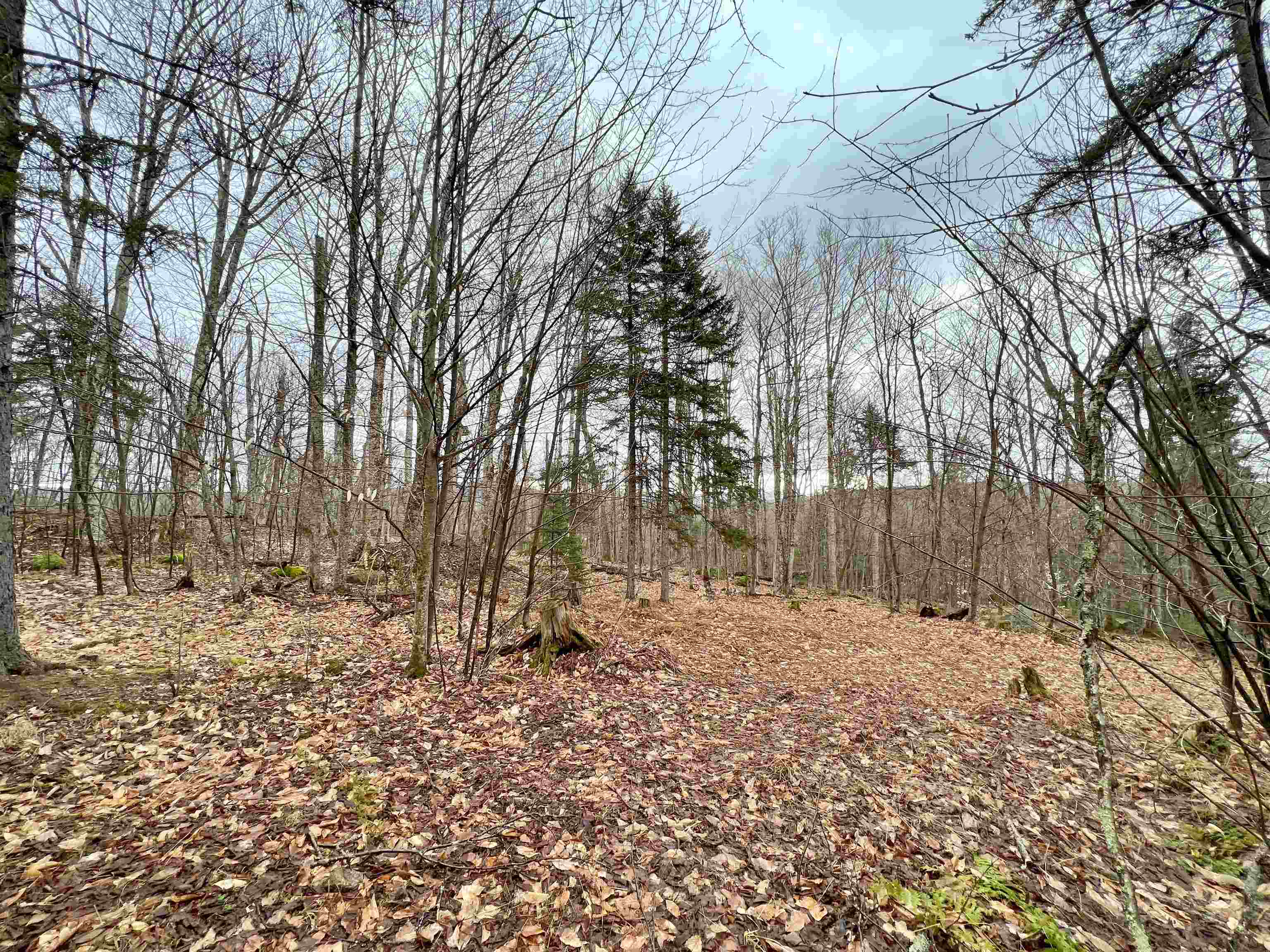 - Old Quarry Road Property Photo 14
