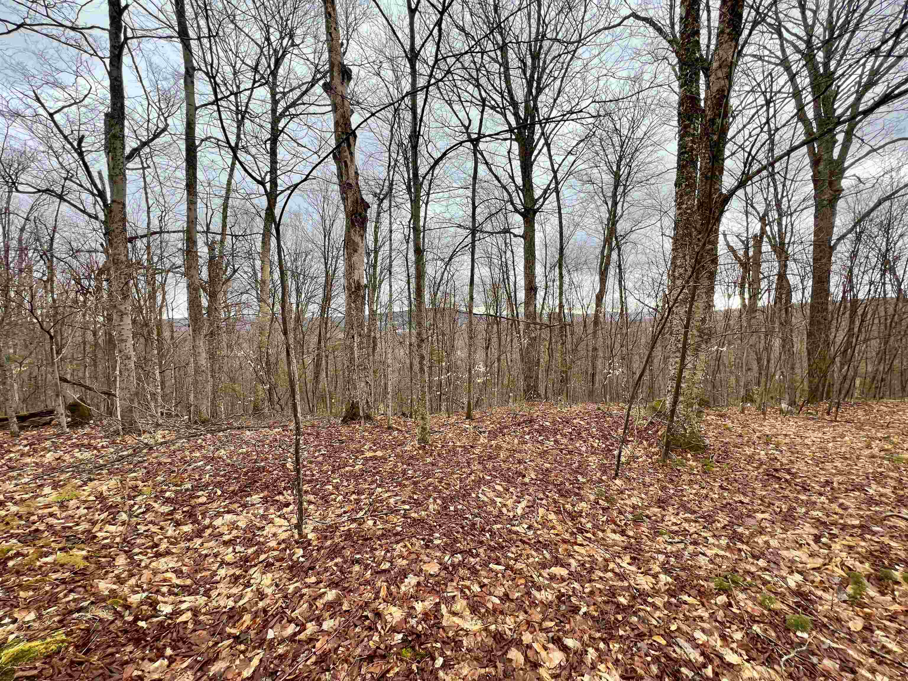 - Old Quarry Road Property Photo 15