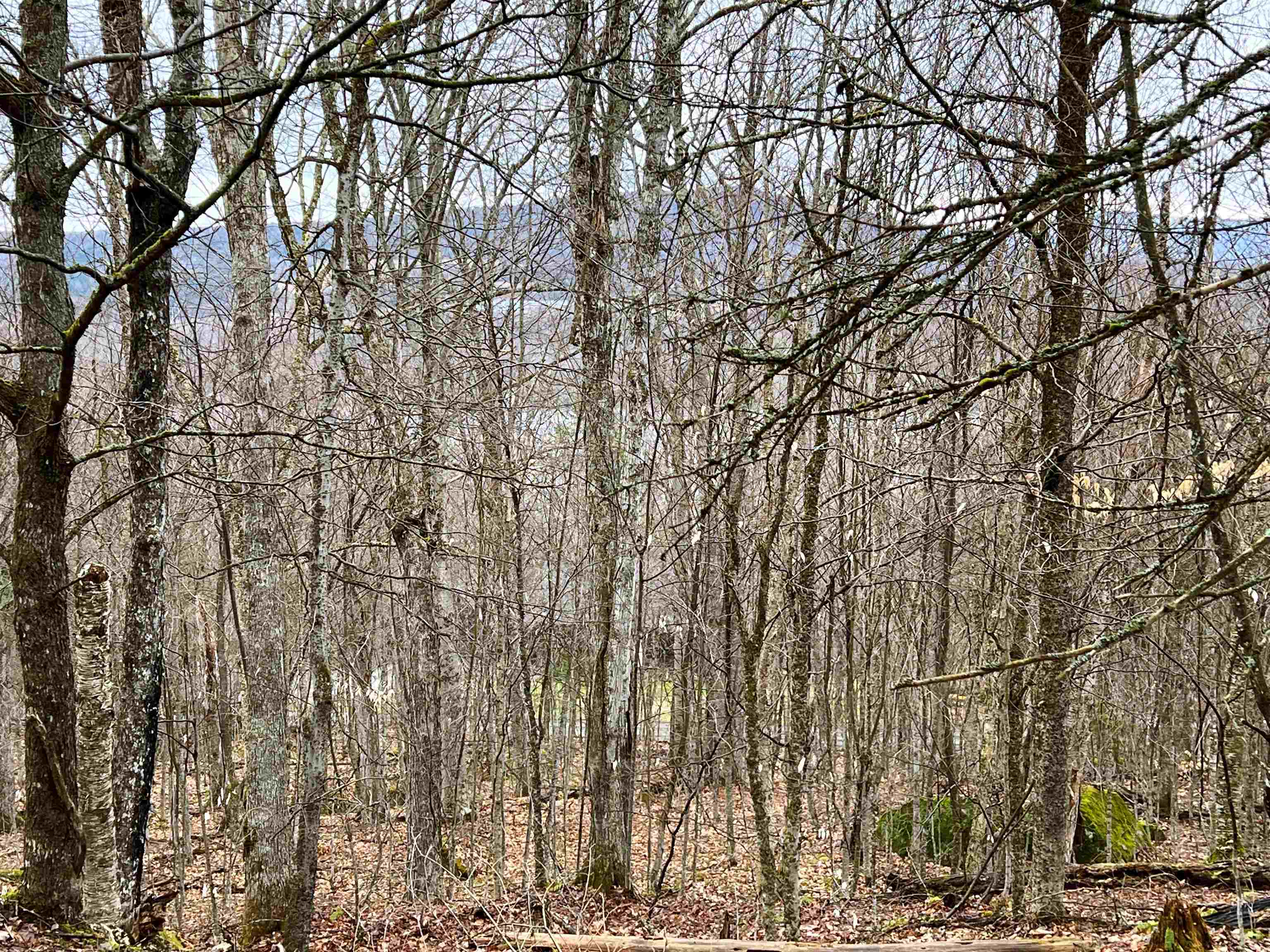 - Old Quarry Road Property Photo 16
