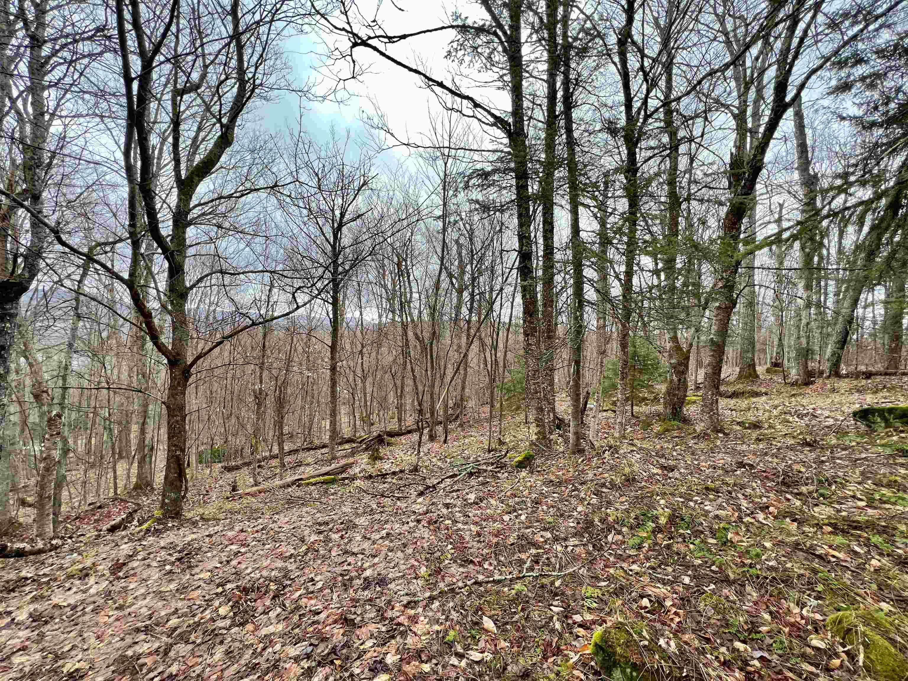 - Old Quarry Road Property Photo 18
