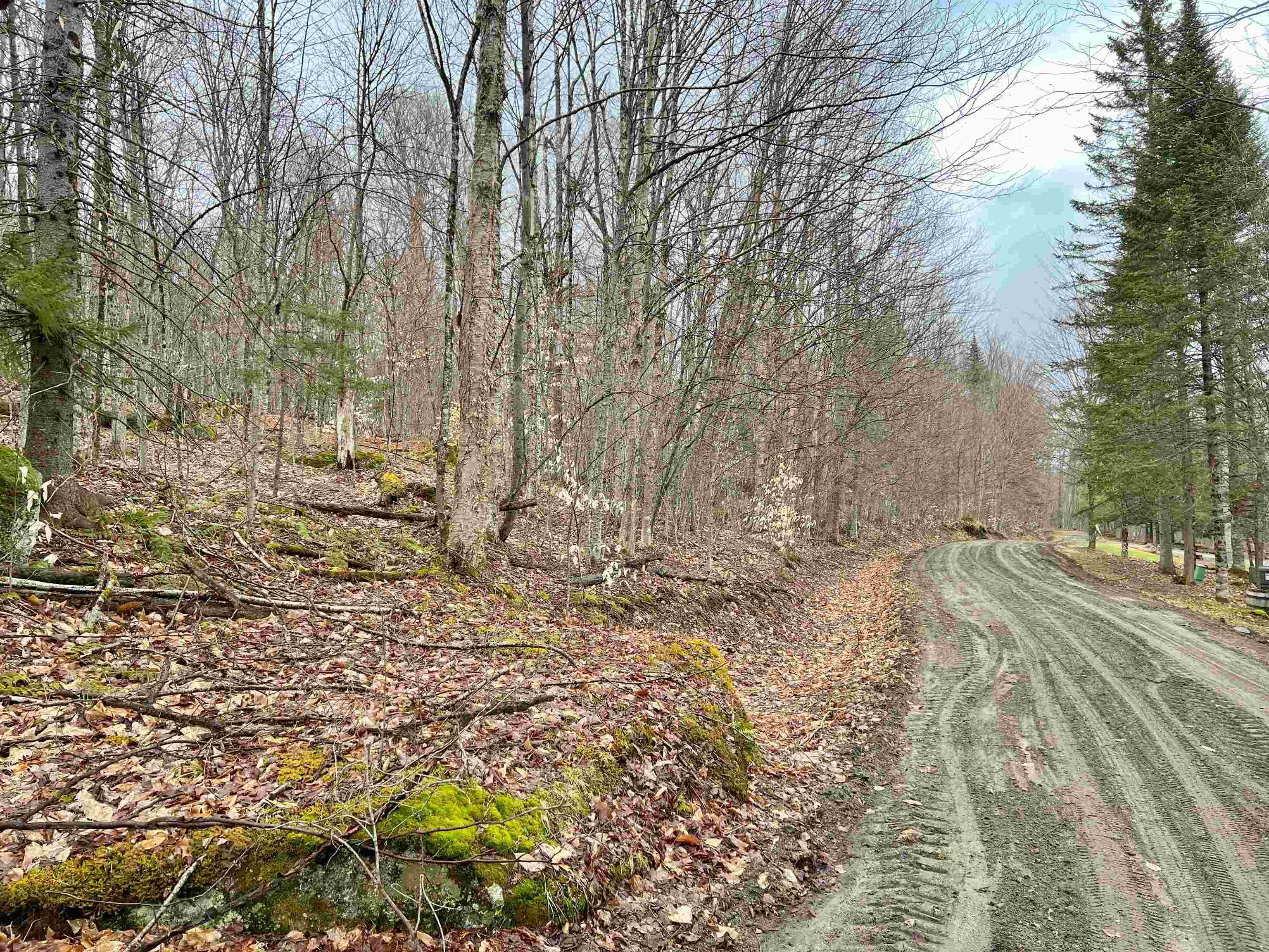 - Old Quarry Road Property Photo 19