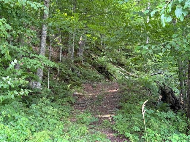 Main Street Property Photo 2