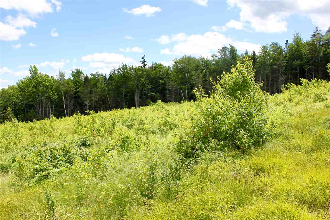 Valley View Drive Property Photo 10