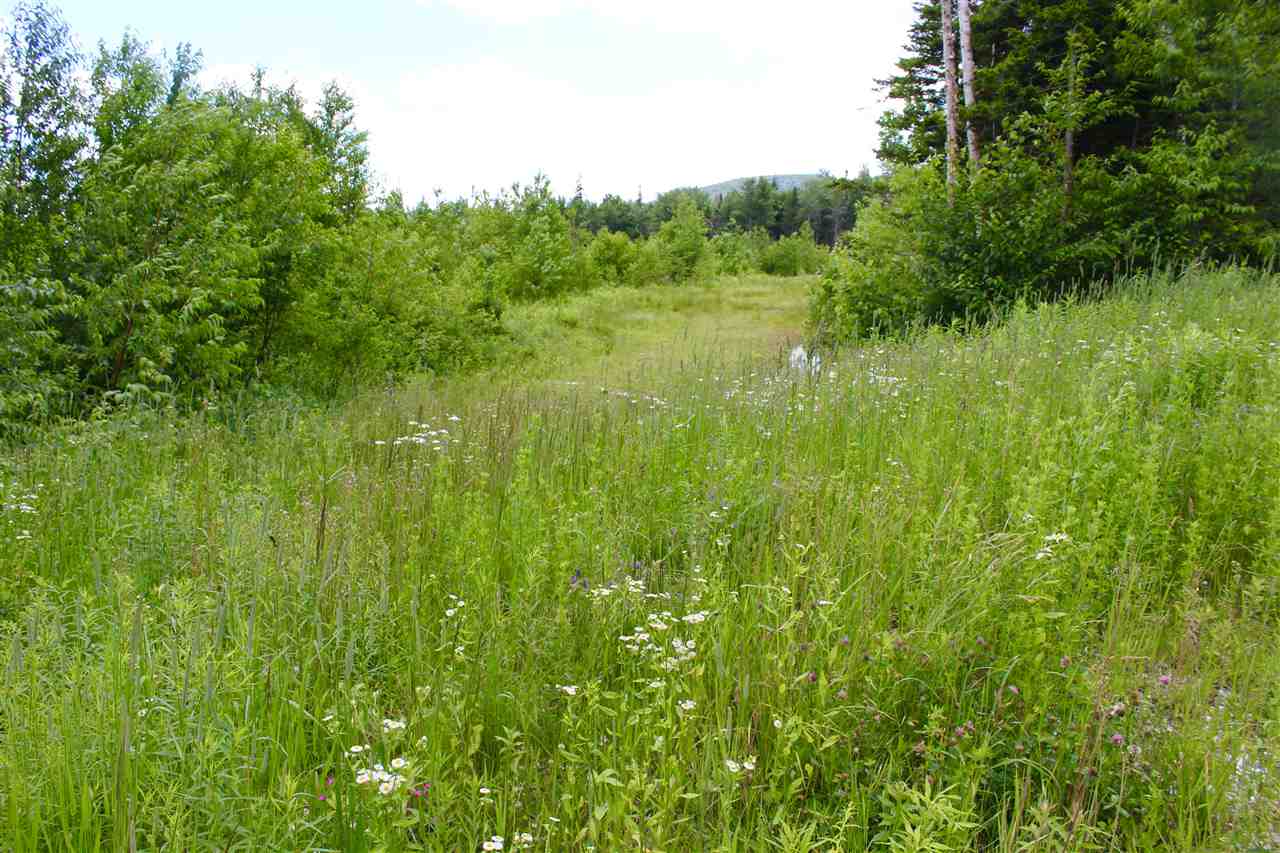 Valley View Drive Property Photo 13