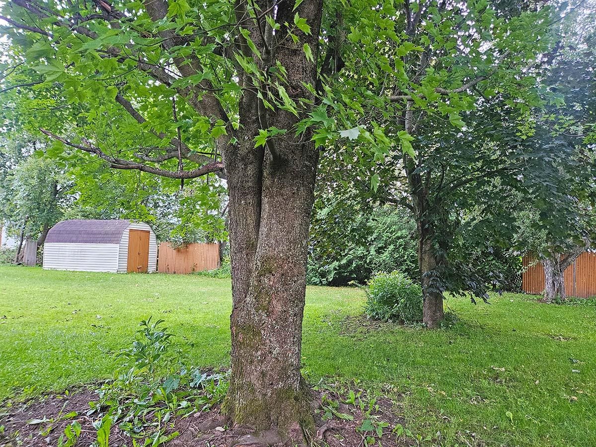 326 Pleasant Street Property Photo 12