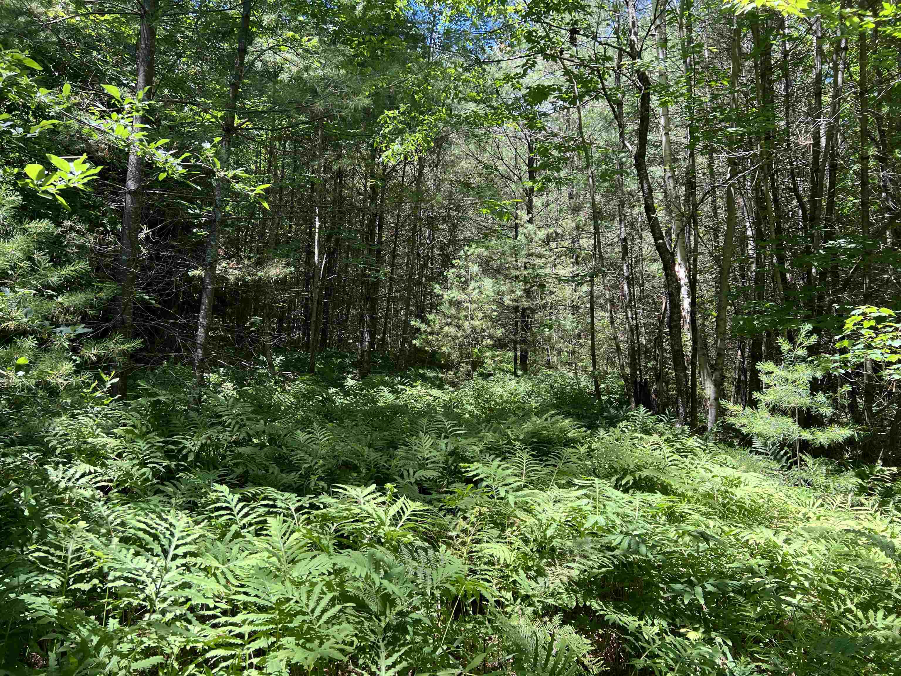 000 Upper Mad River Road Property Photo 2