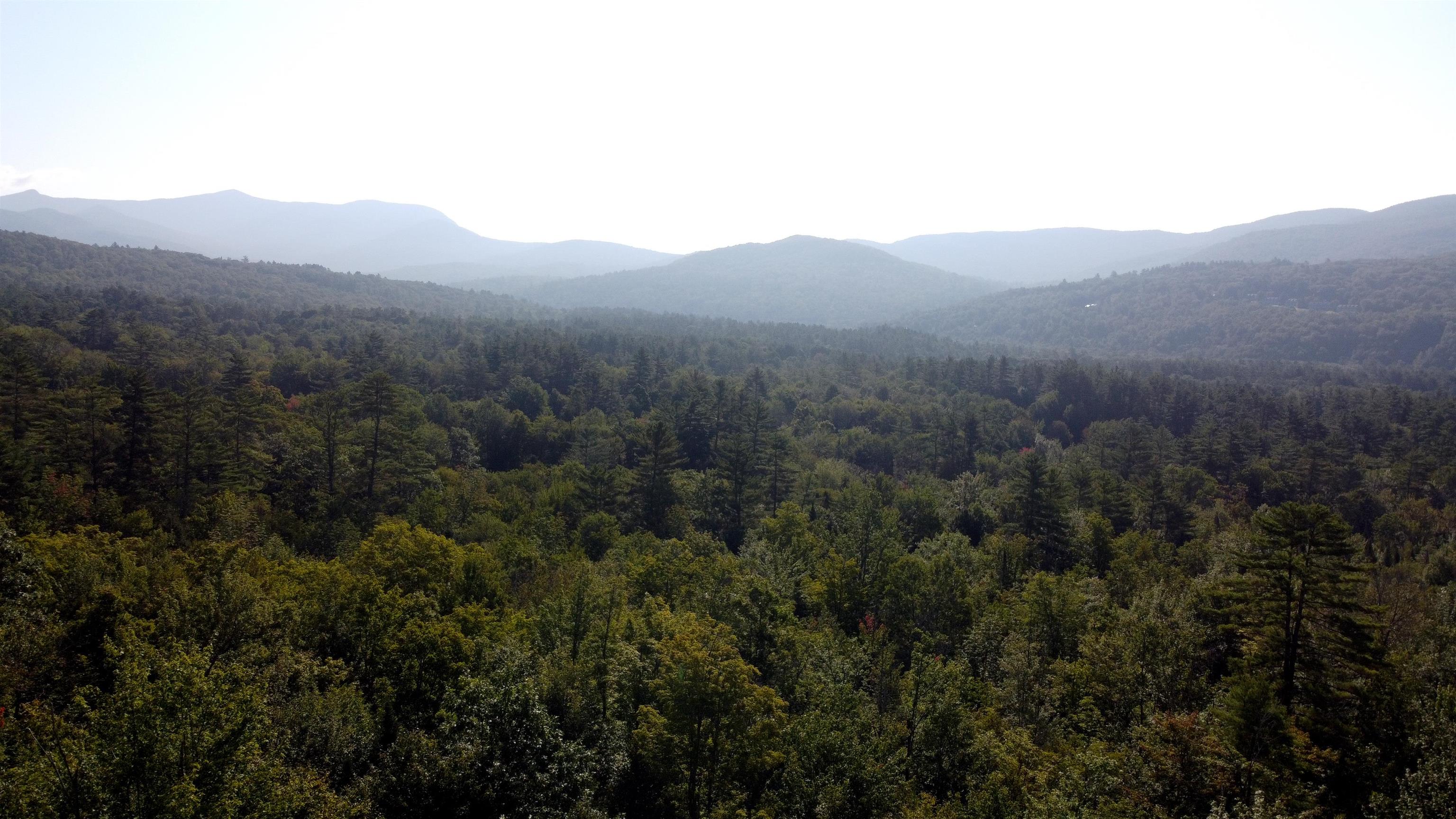 000 Upper Mad River Road Property Photo 6