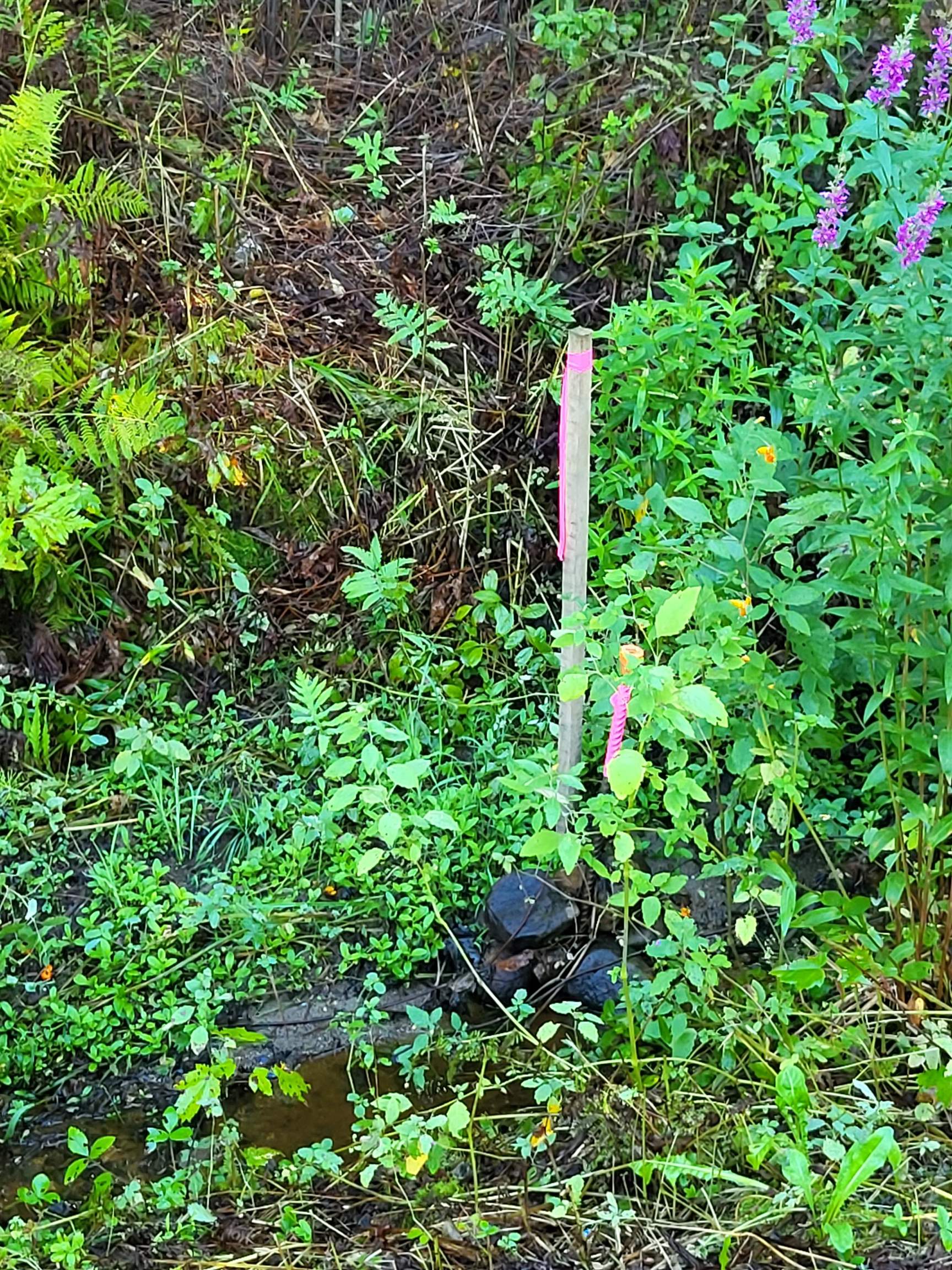 00 Swazey Lane Property Photo 12