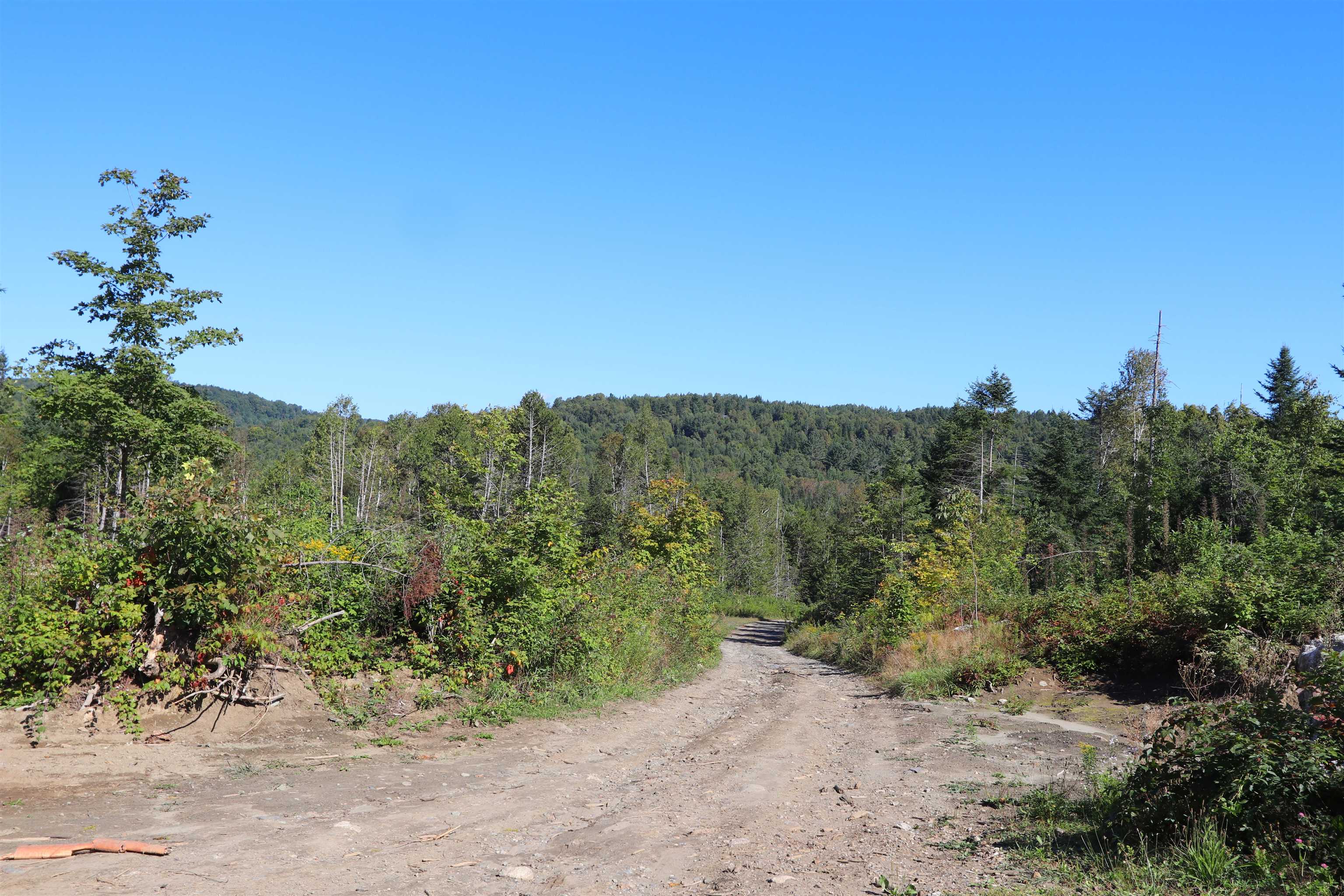 2325 Keiser Pond Road Property Photo 20