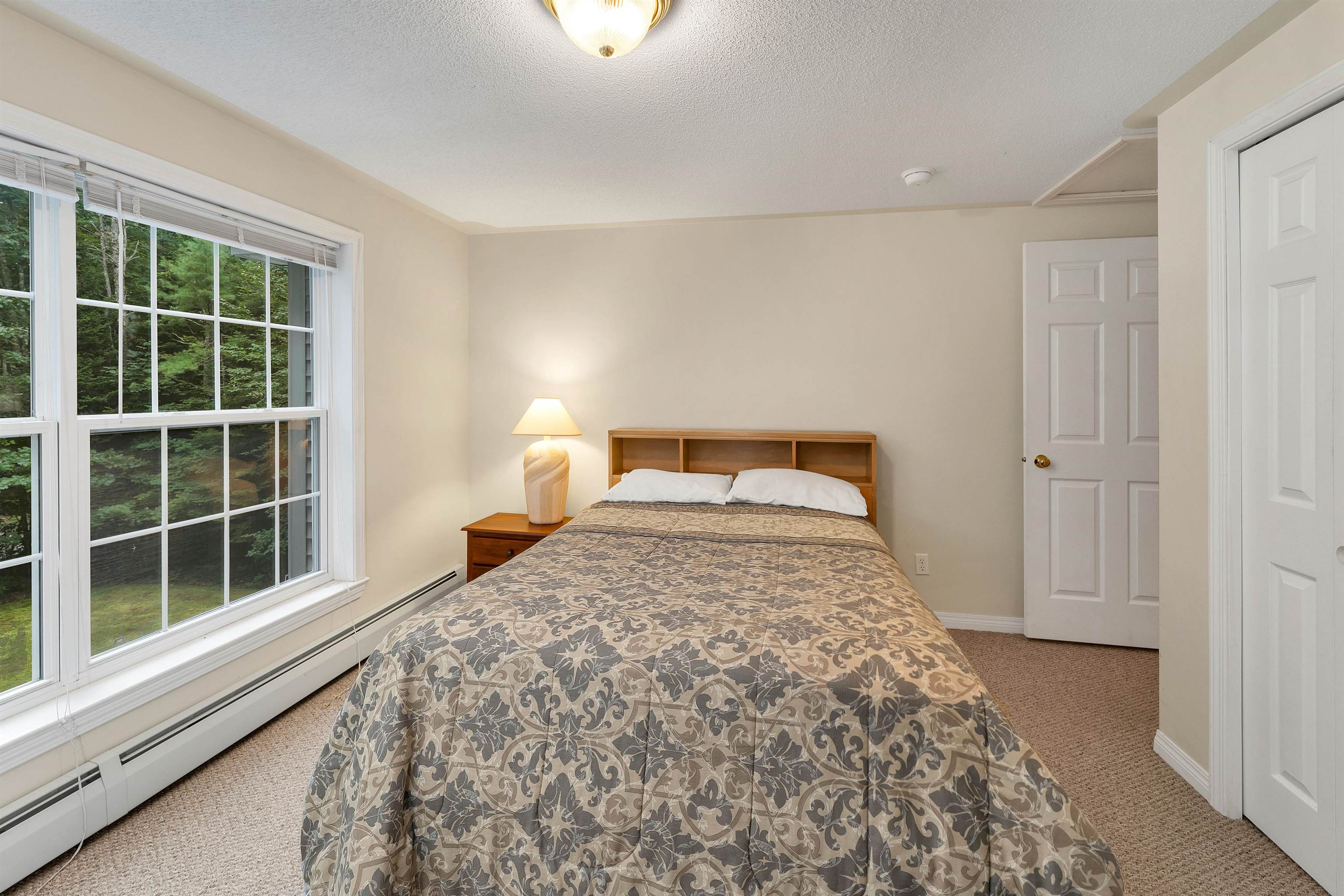 96 Olympia Street Property Photo 18