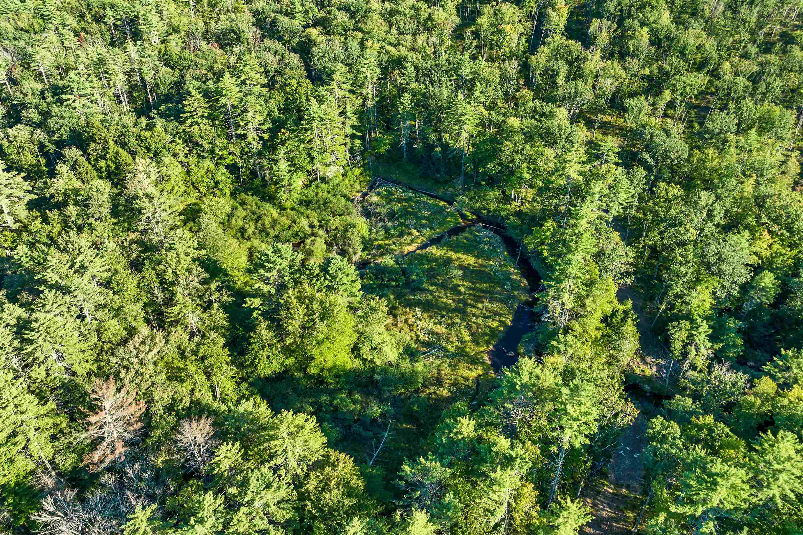 Rum Brook Road Property Photo 3