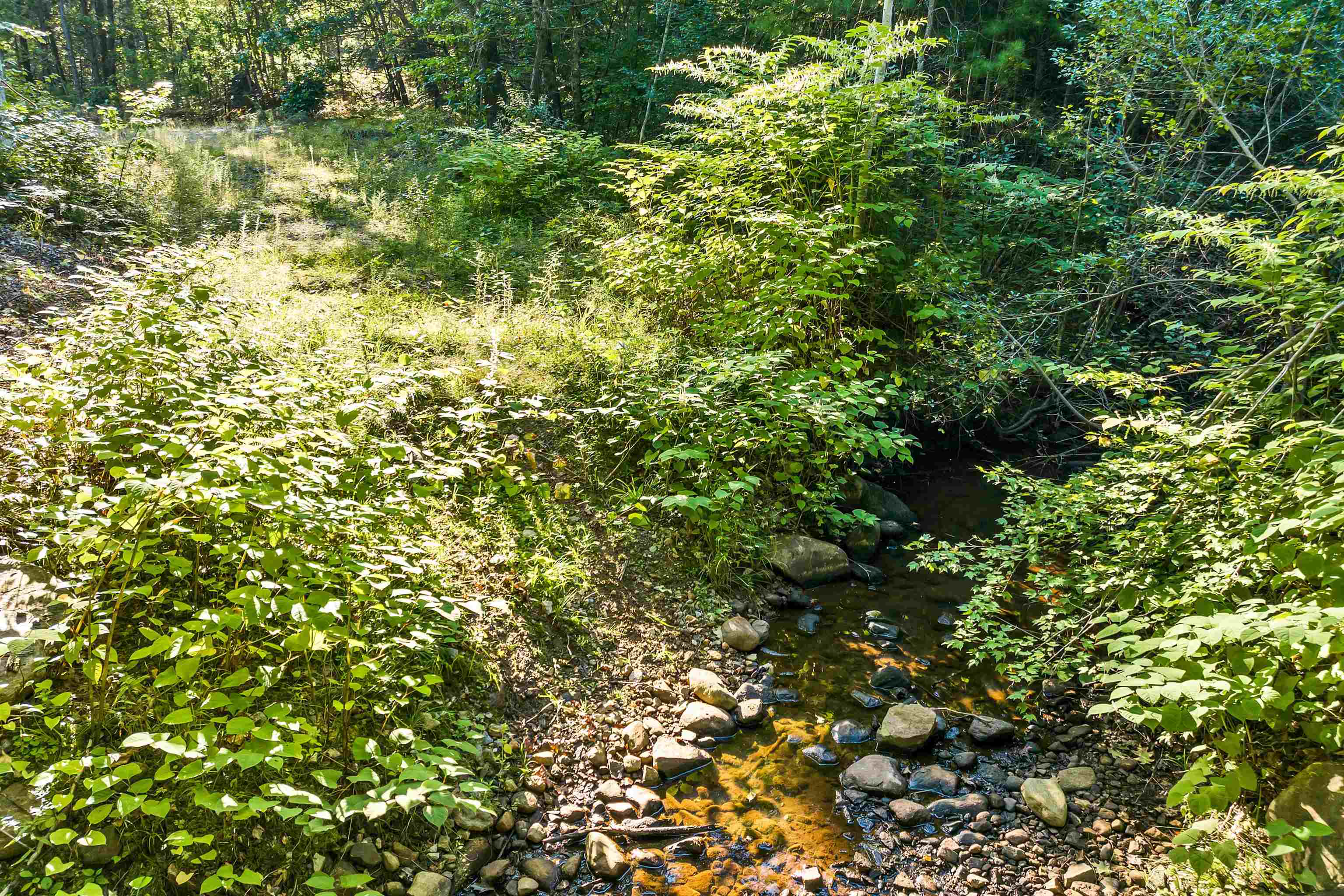 Rum Brook Road Property Photo 18