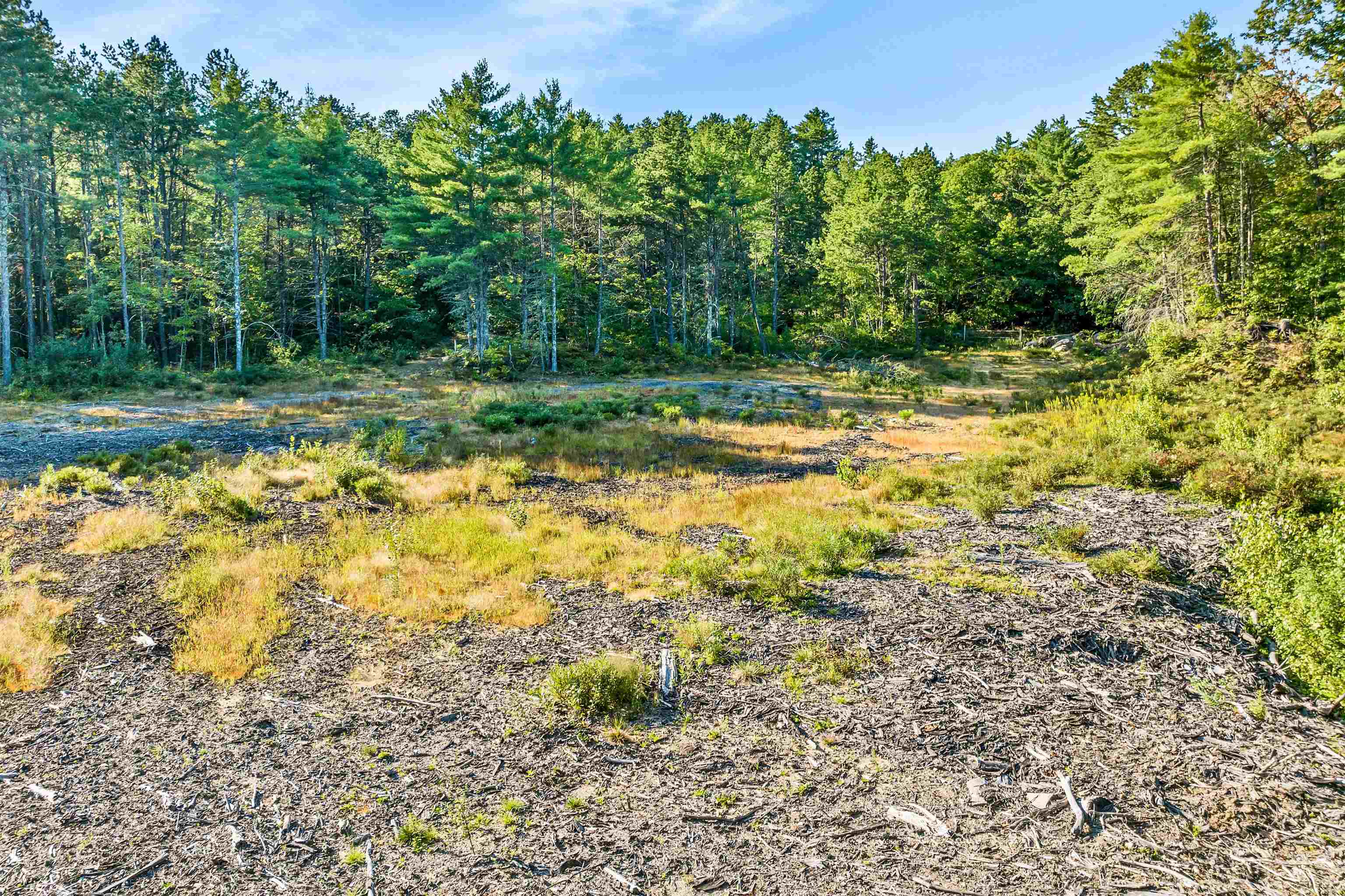 Rum Brook Road Property Photo 20
