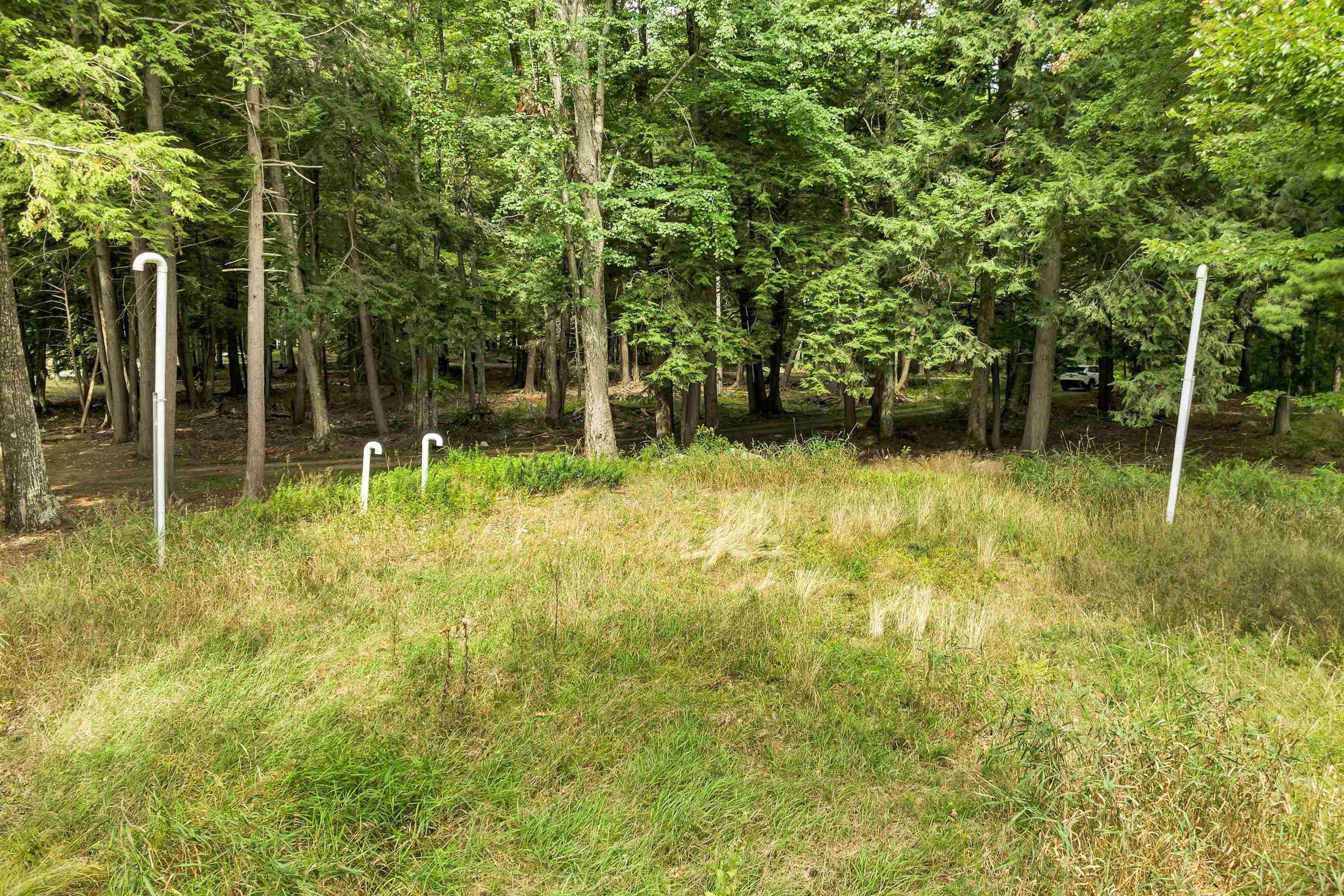47 Pot O Beans Road Property Photo 8