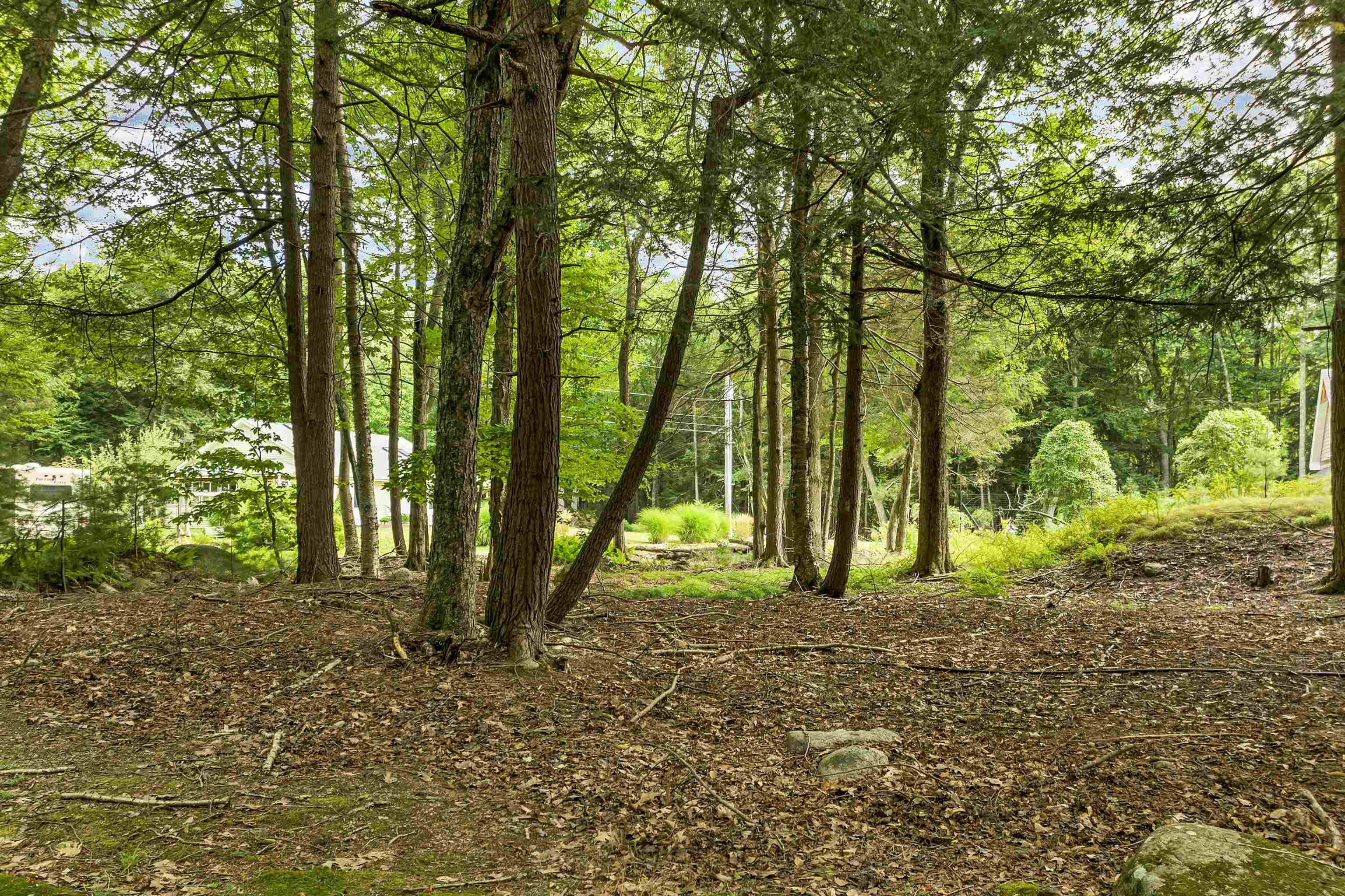 47 Pot O Beans Road Property Photo 34