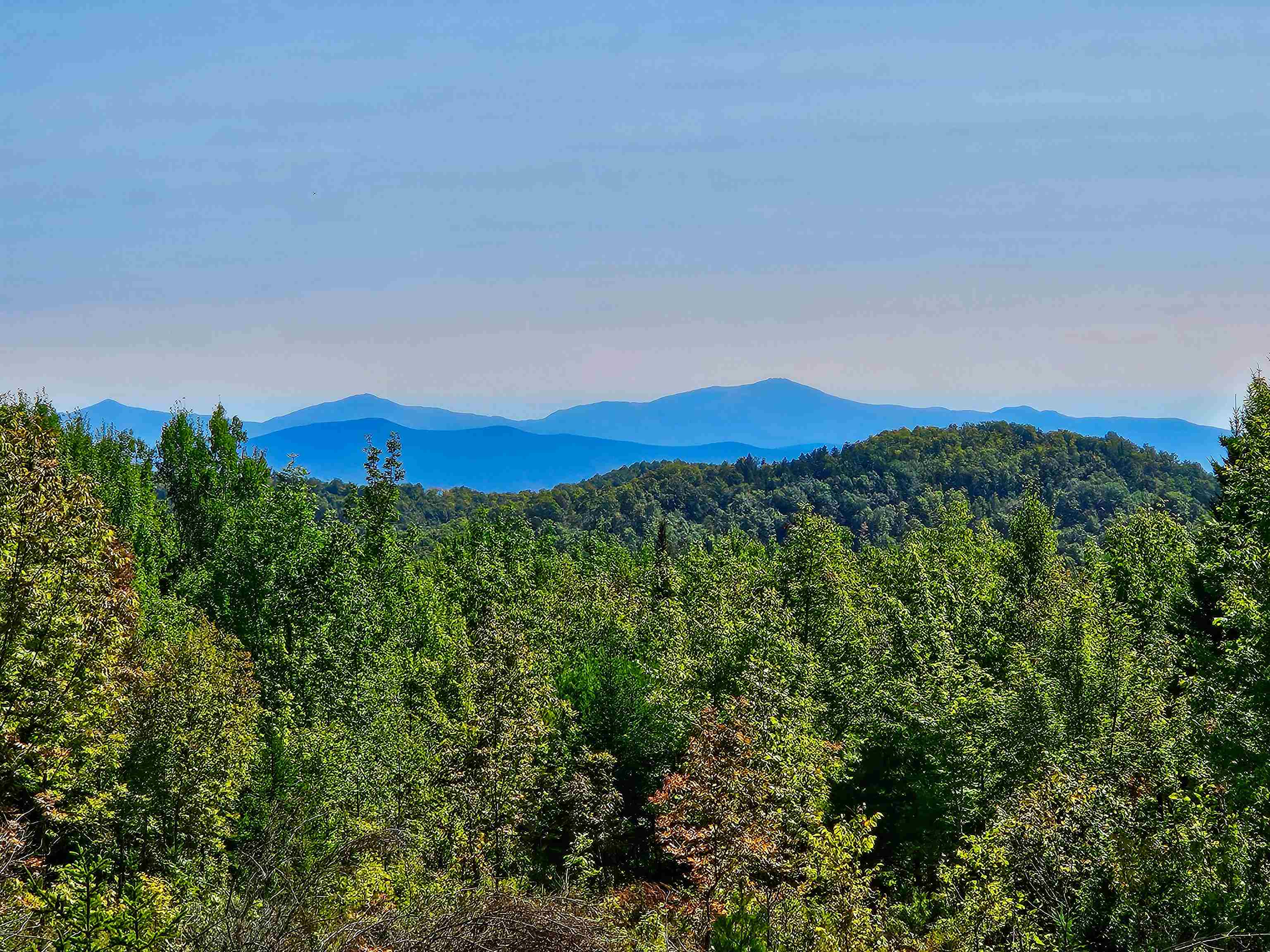 522 Mt. Misery Road Property Photo 3