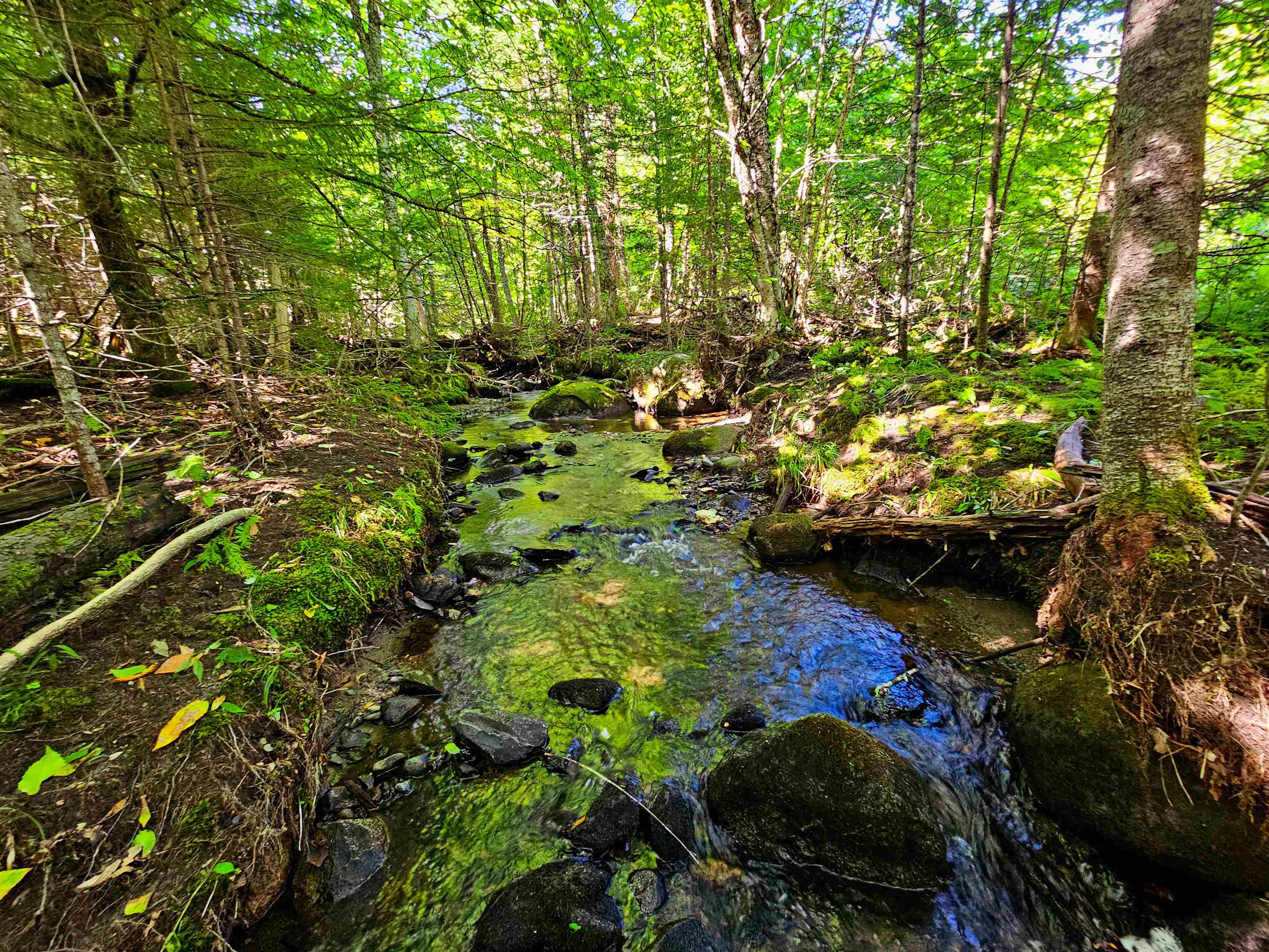 522 Mt. Misery Road Property Photo 4
