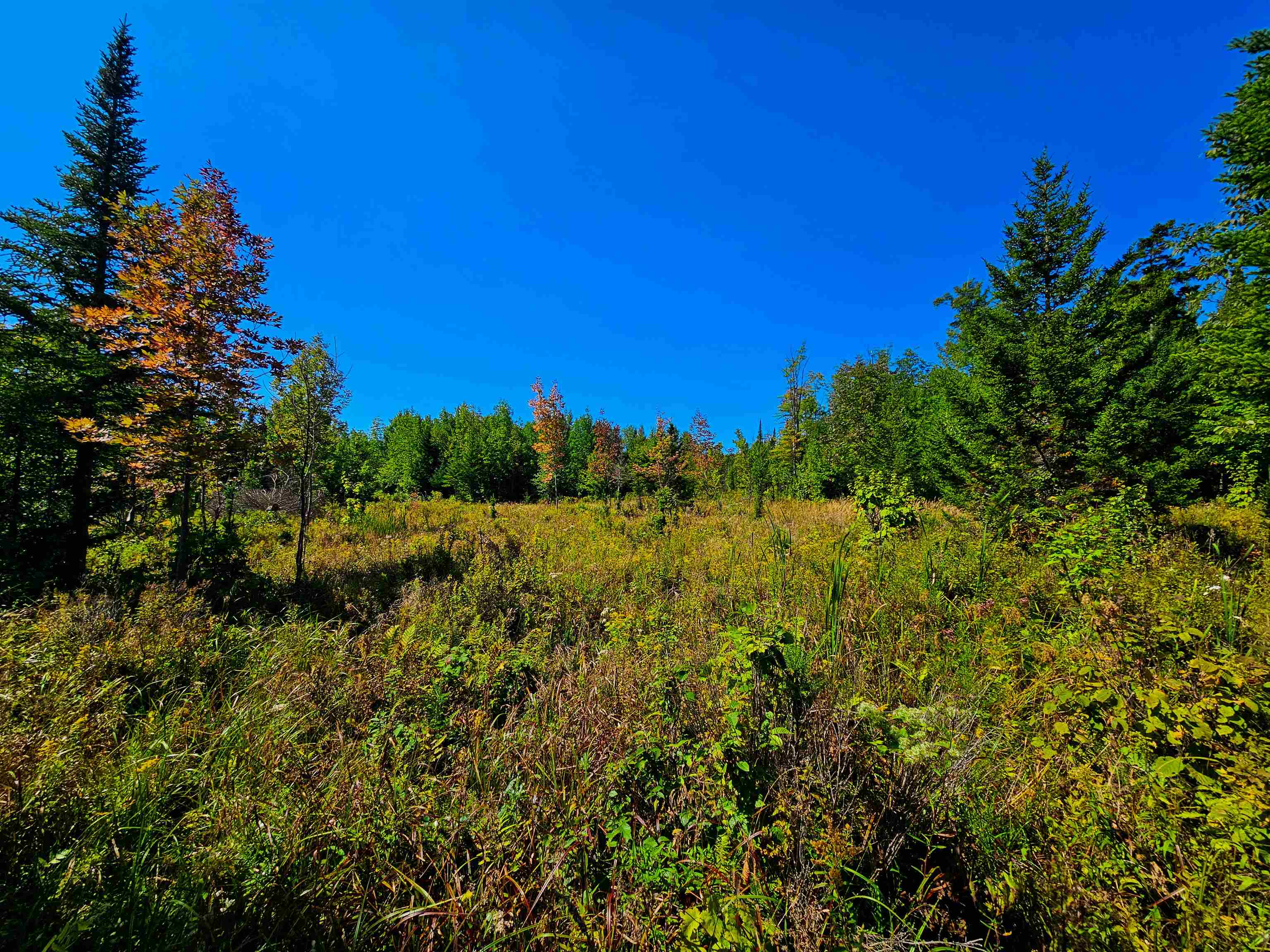 522 Mt. Misery Road Property Photo 10