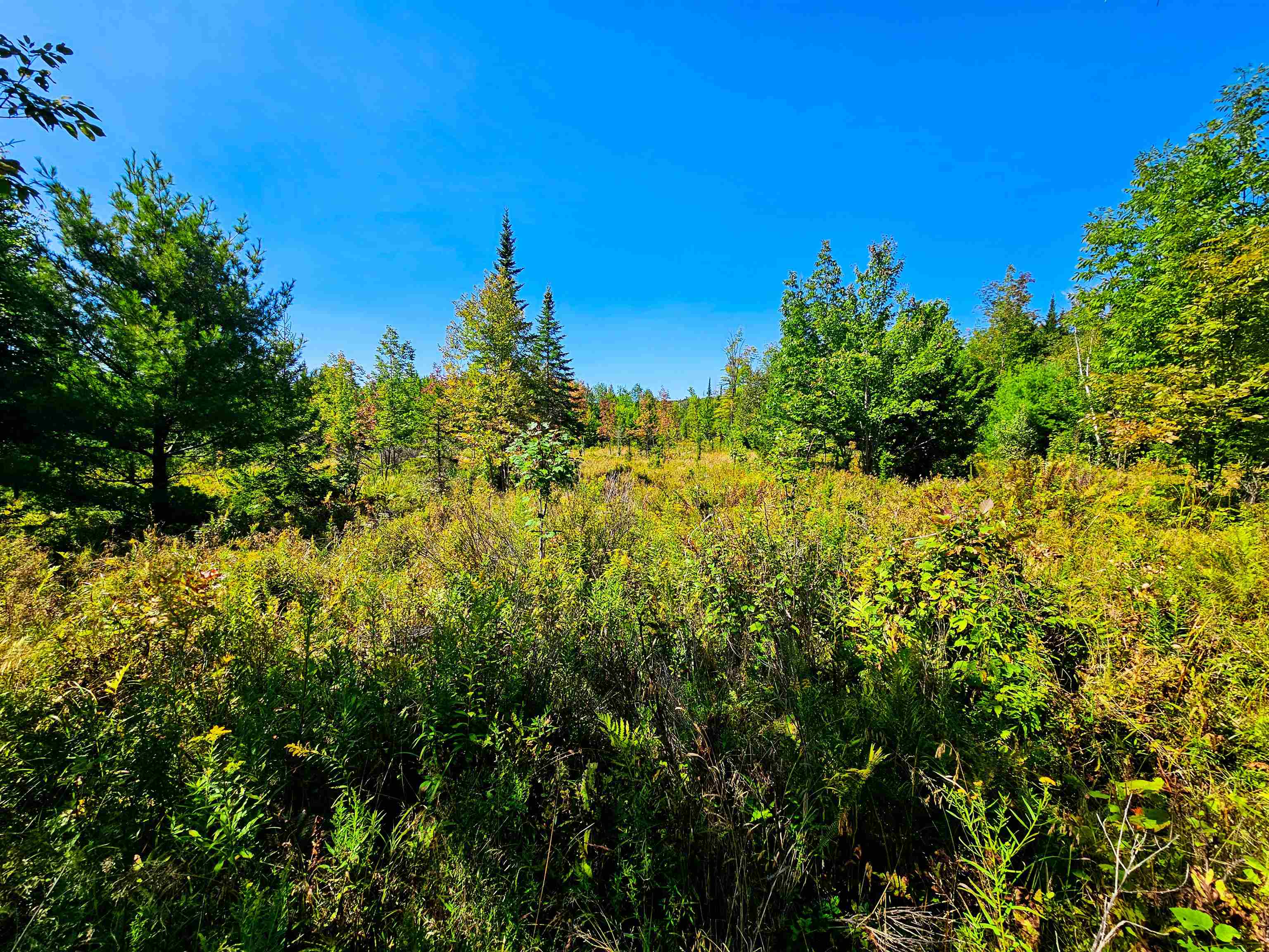 522 Mt. Misery Road Property Photo 11