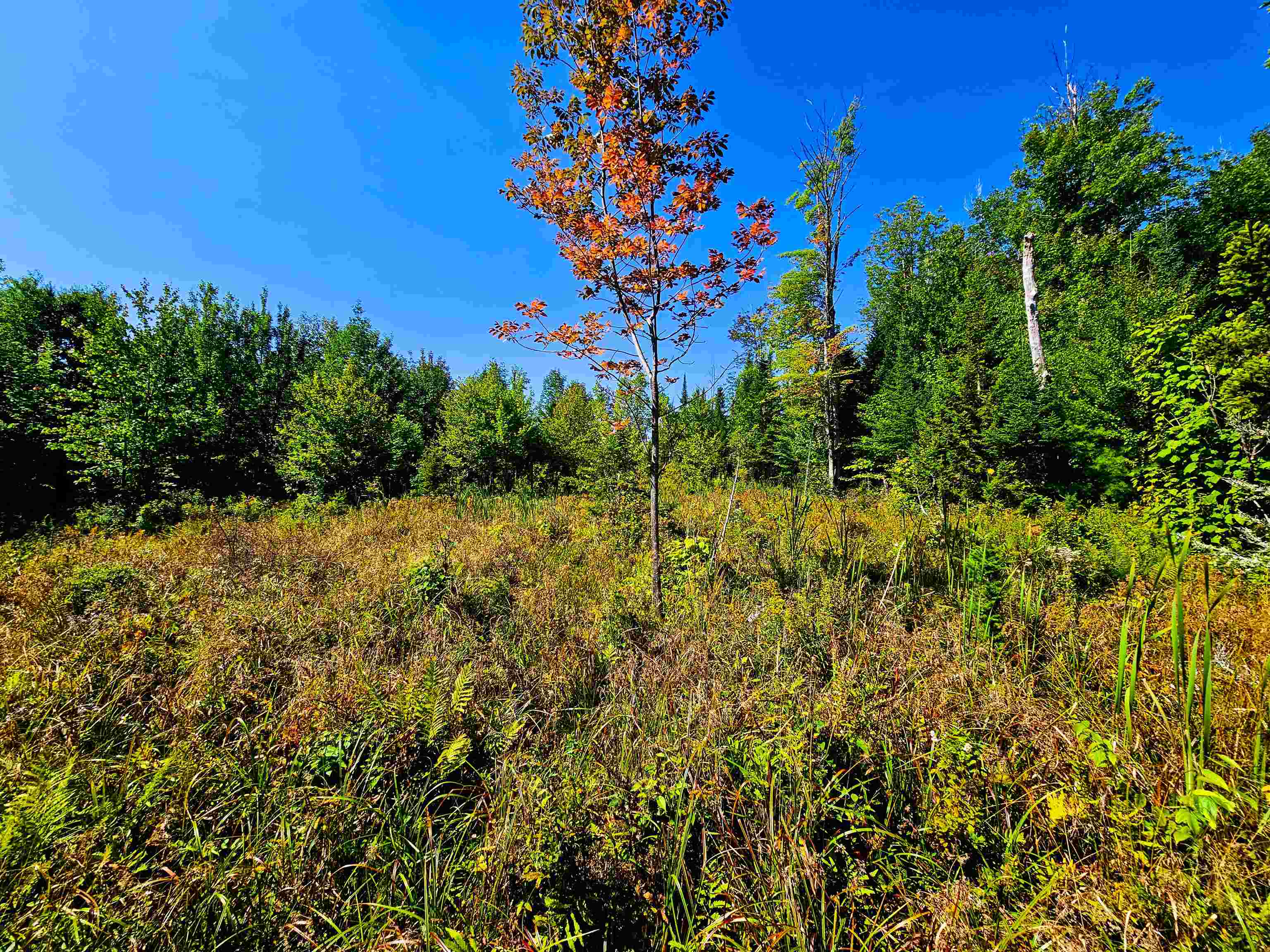 522 Mt. Misery Road Property Photo 12