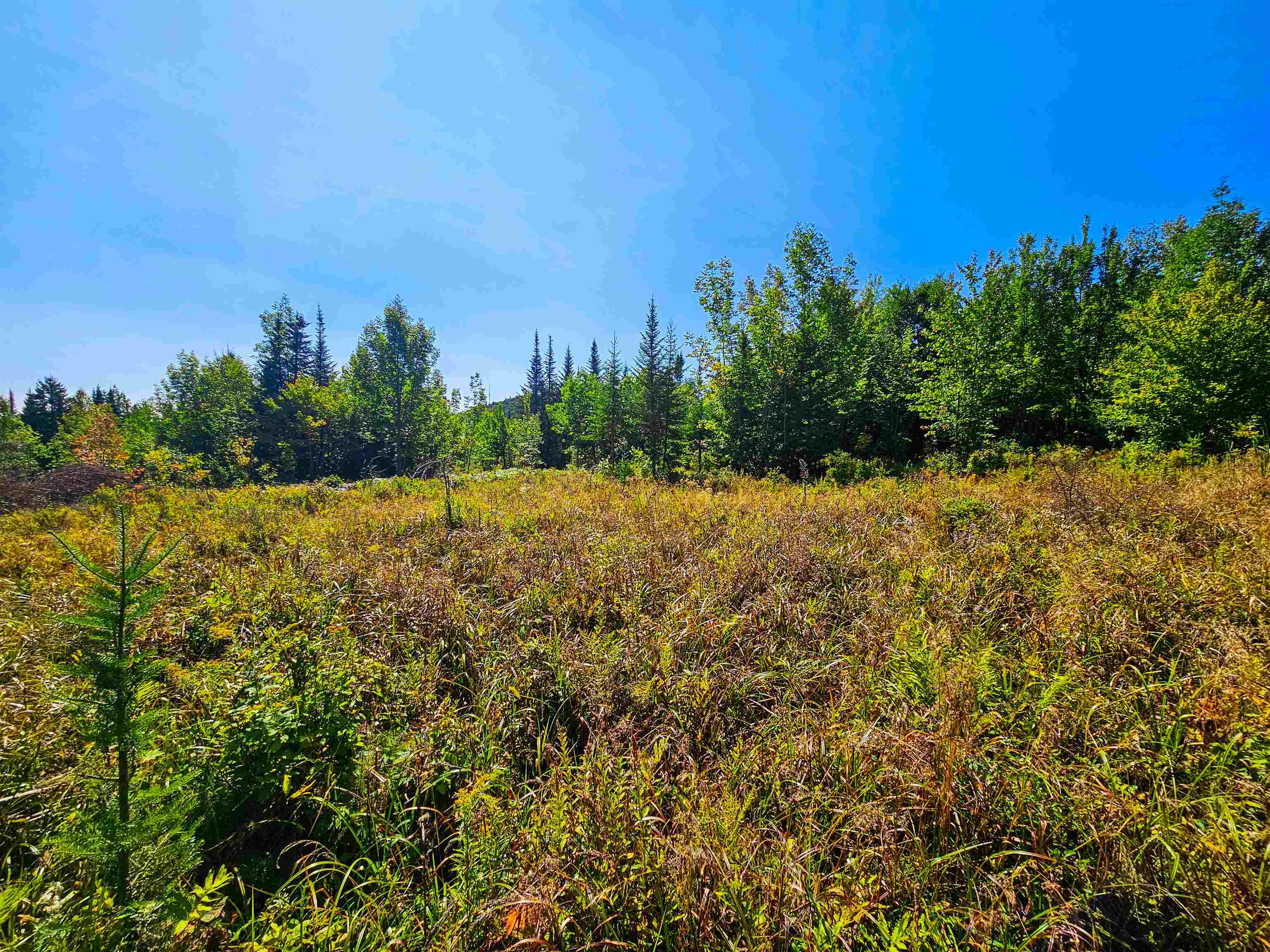 522 Mt. Misery Road Property Photo 13