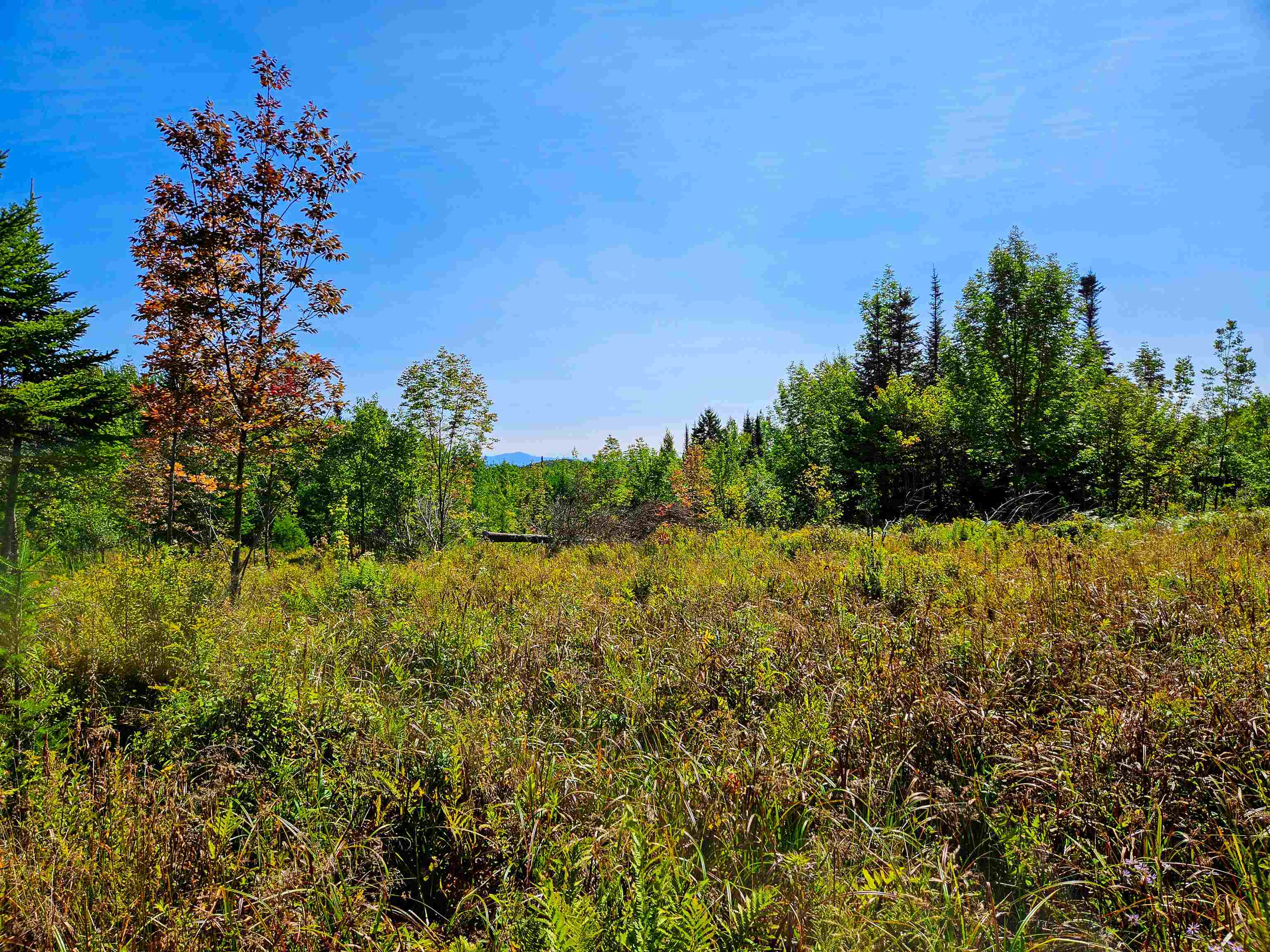 522 Mt. Misery Road Property Photo 14