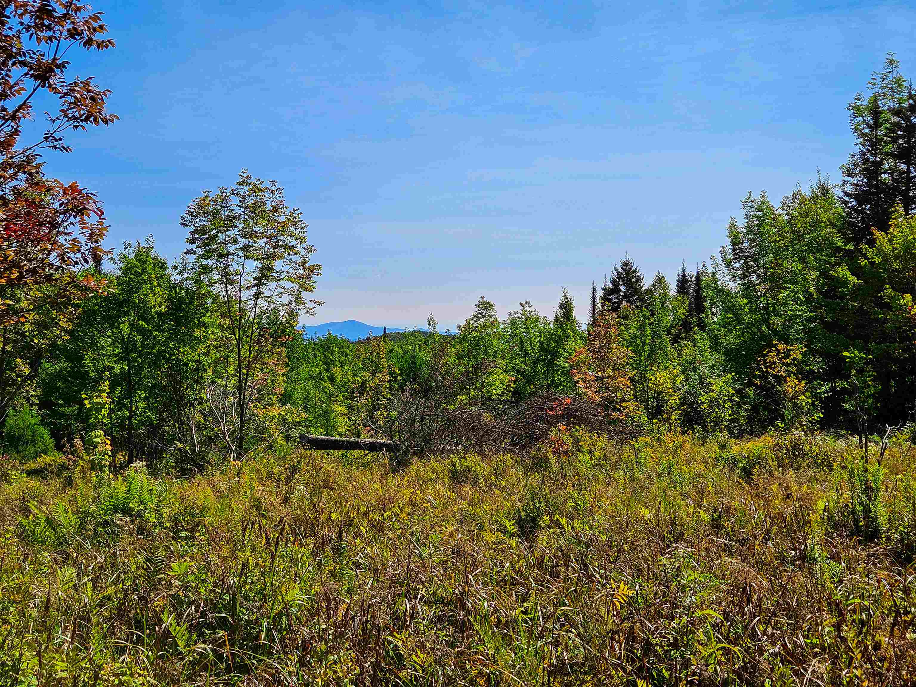522 Mt. Misery Road Property Photo 15