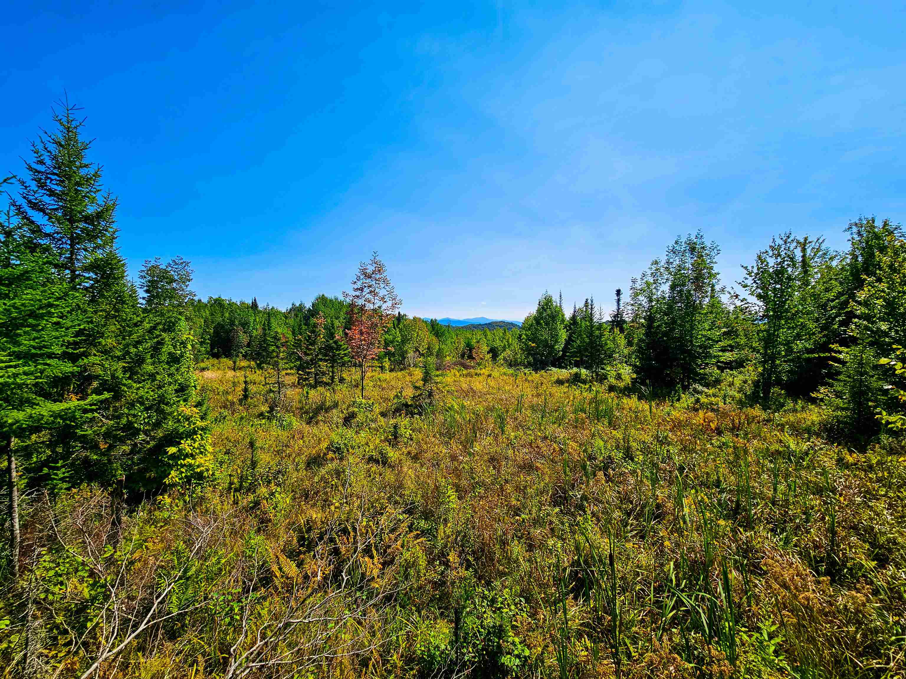 522 Mt. Misery Road Property Photo 16