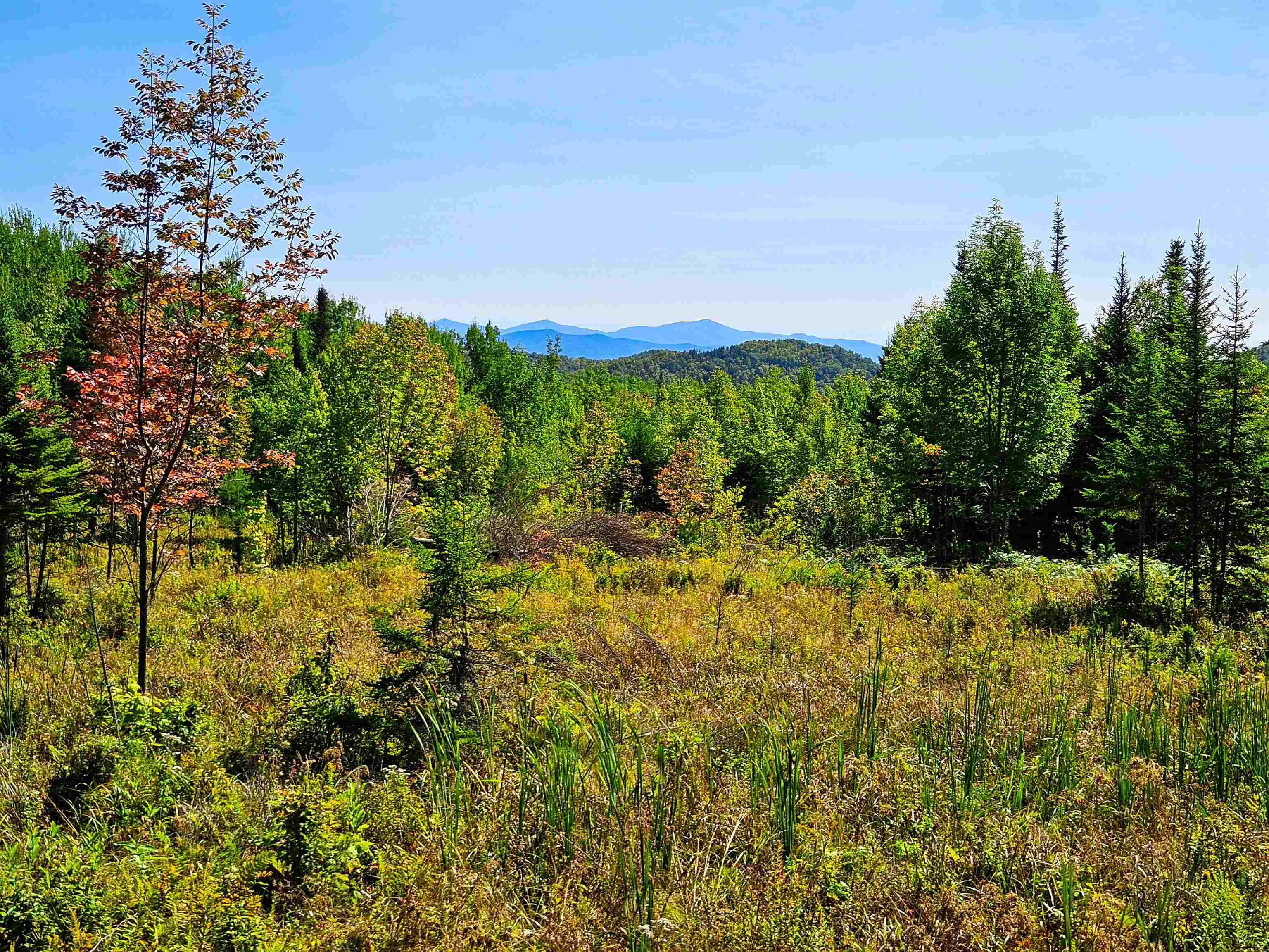 522 Mt. Misery Road Property Photo 17