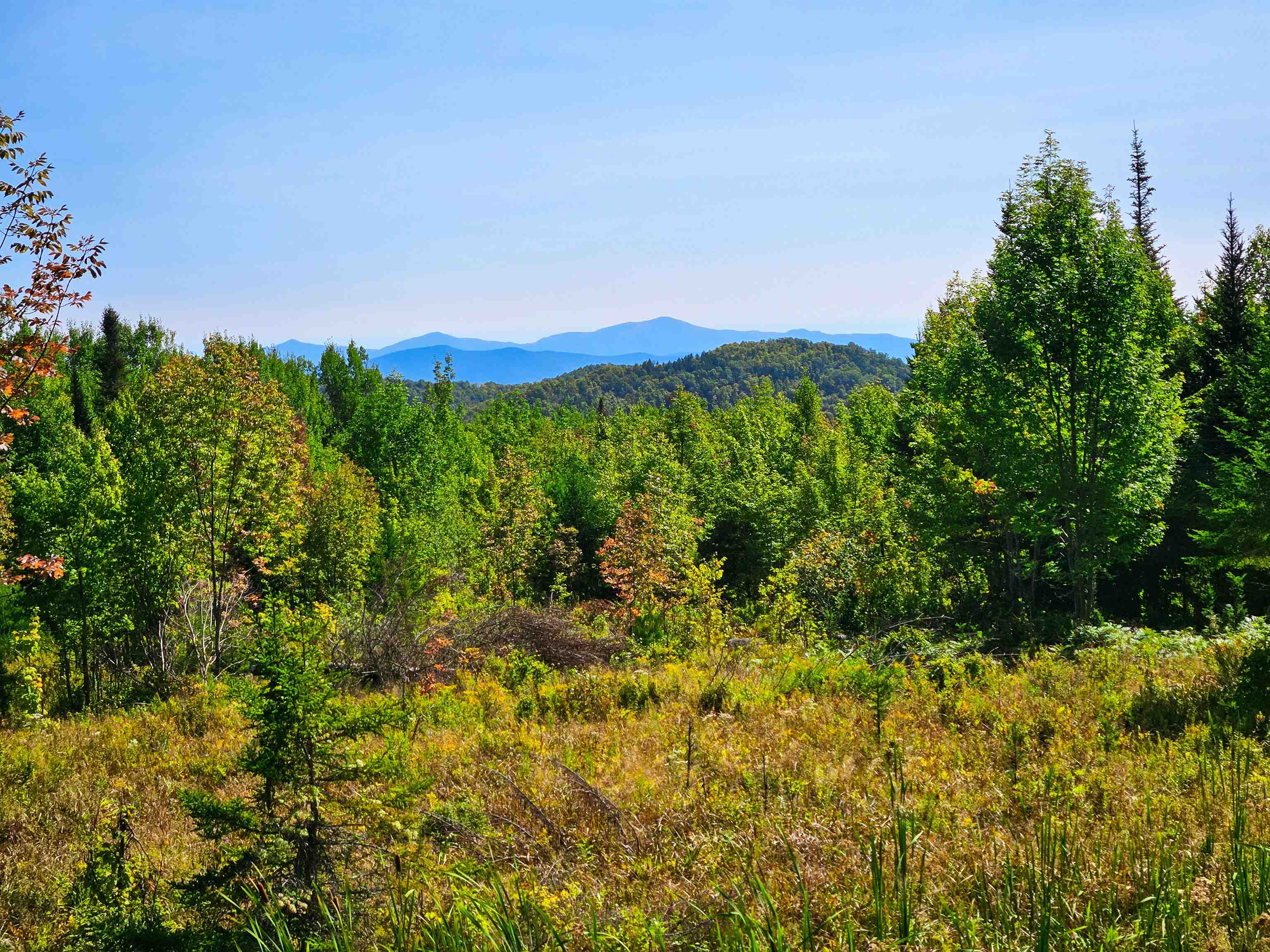 522 Mt. Misery Road Property Photo 18