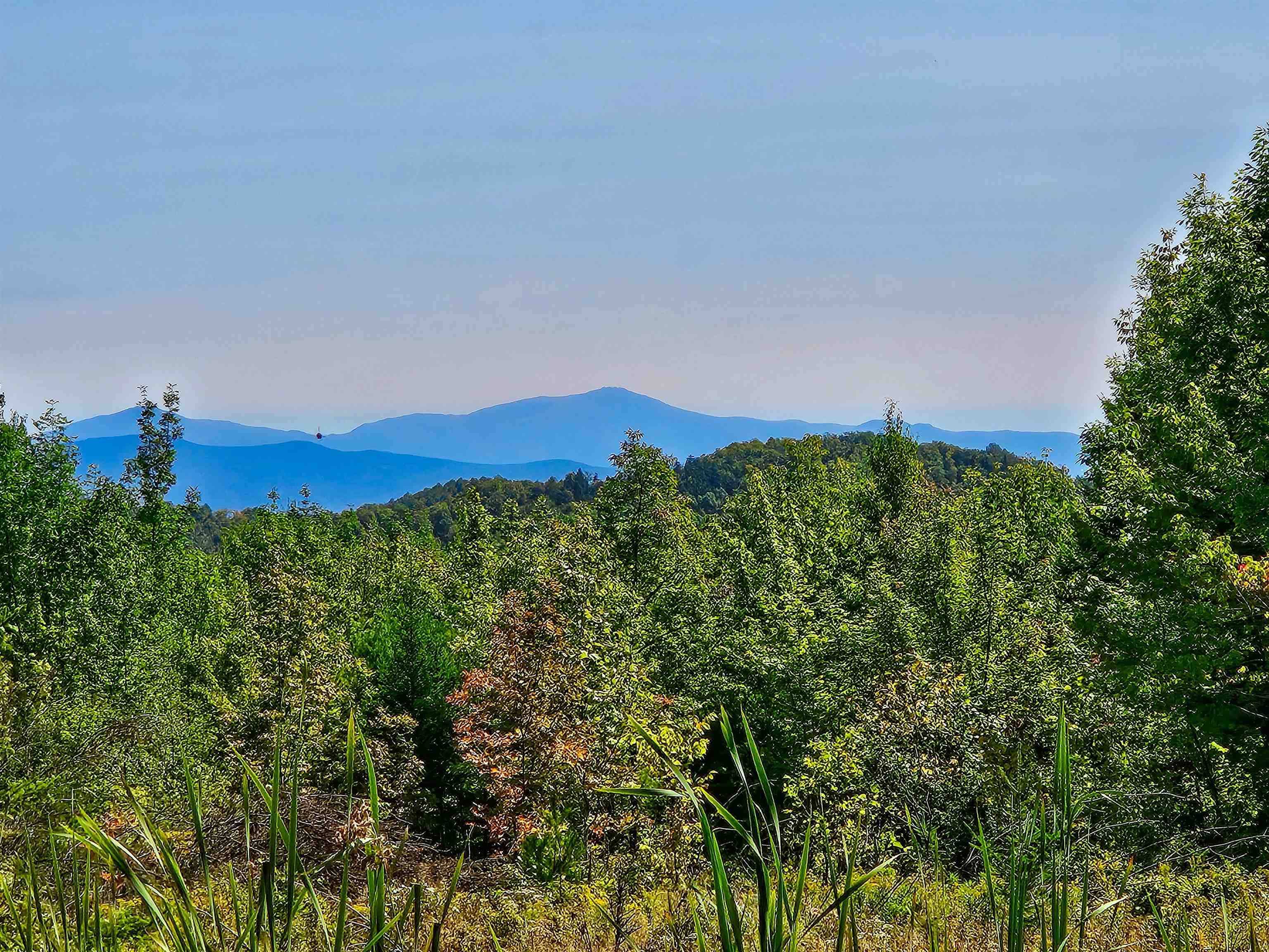 522 Mt. Misery Road Property Photo 19