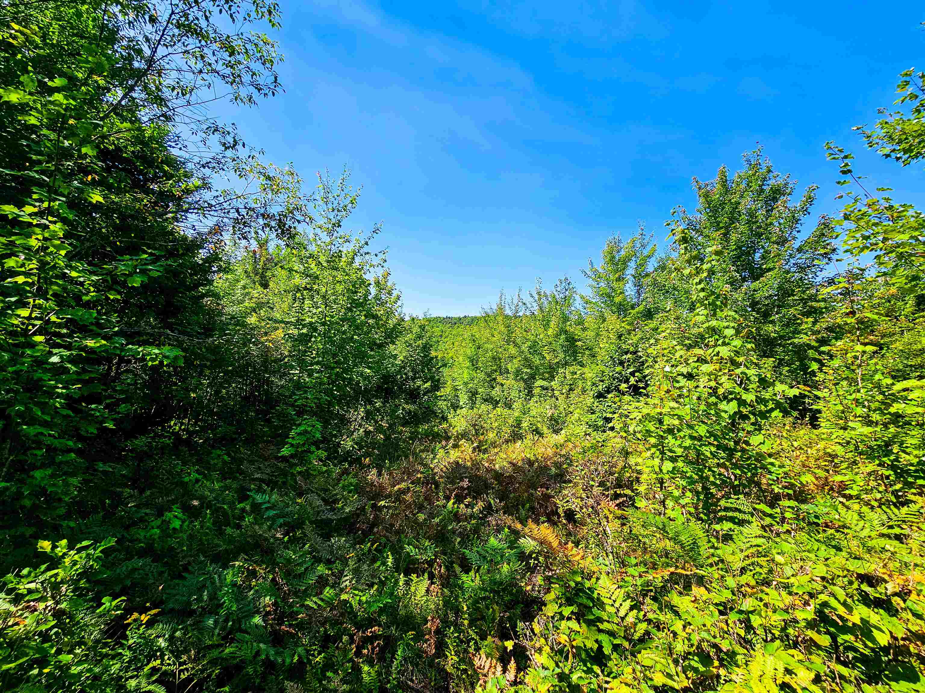 522 Mt. Misery Road Property Photo 20