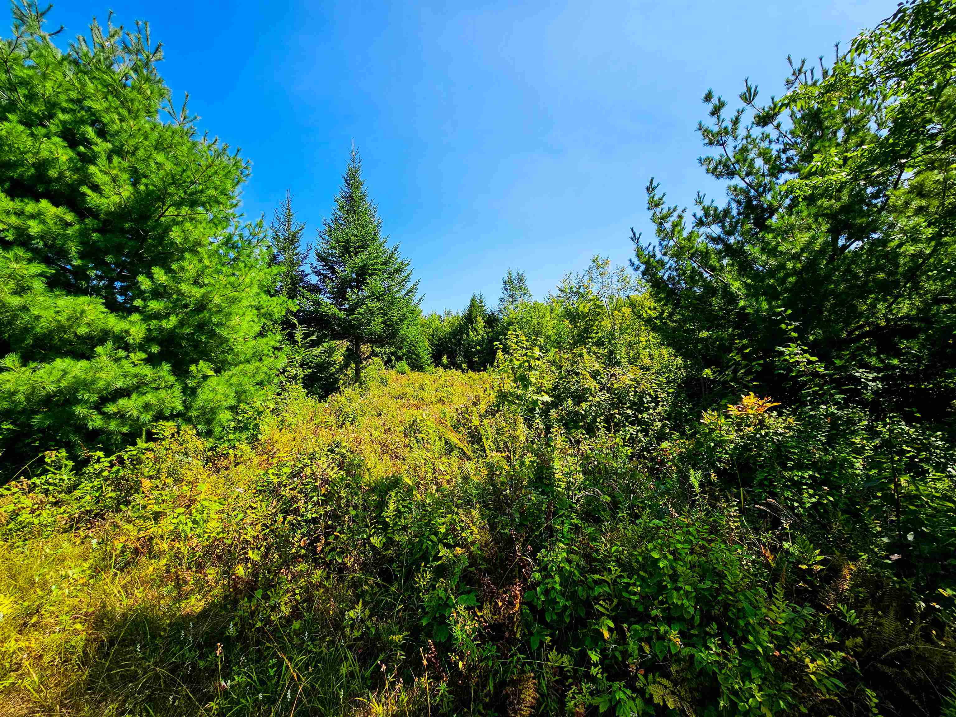 522 Mt. Misery Road Property Photo 23