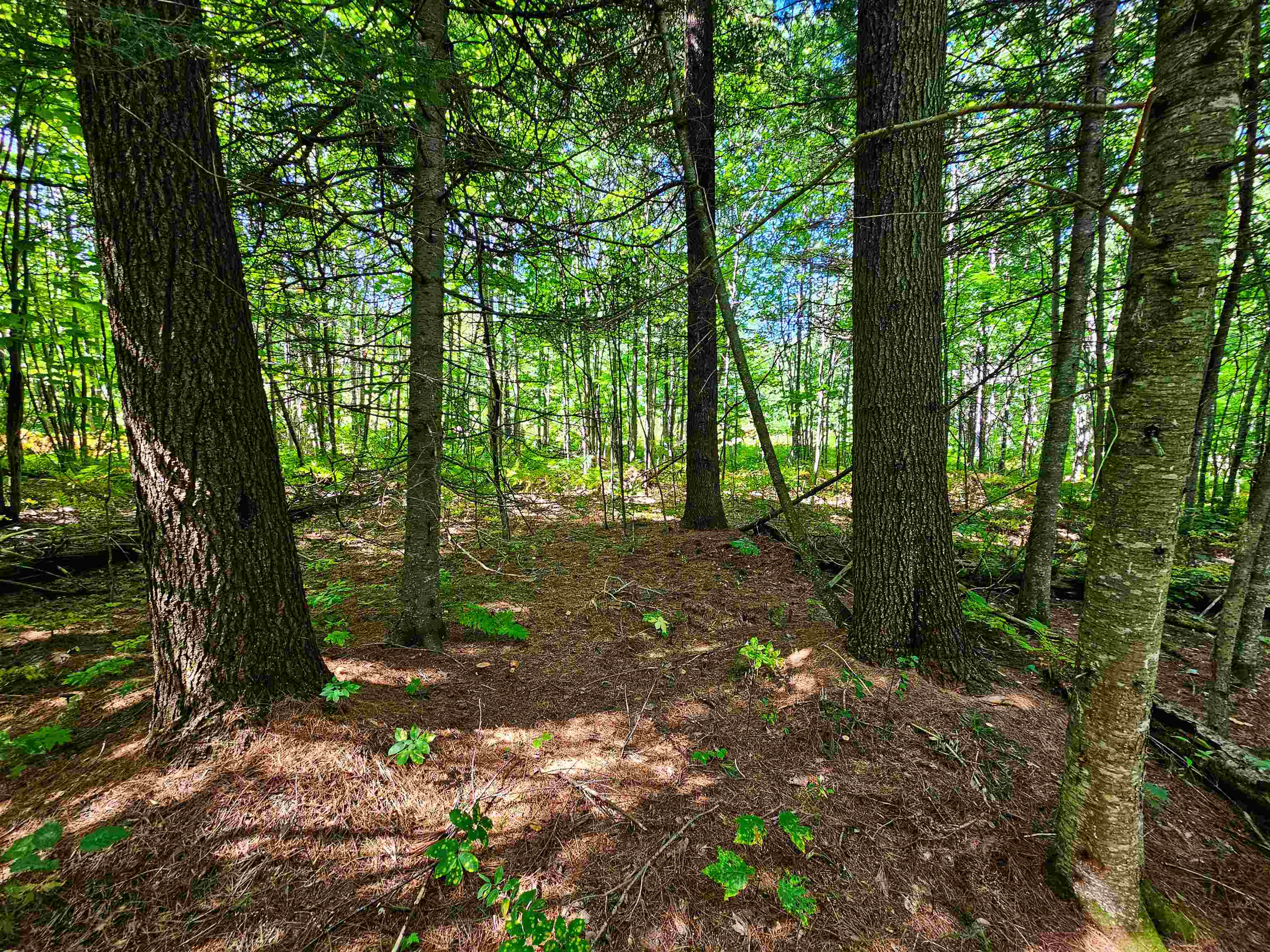 522 Mt. Misery Road Property Photo 25