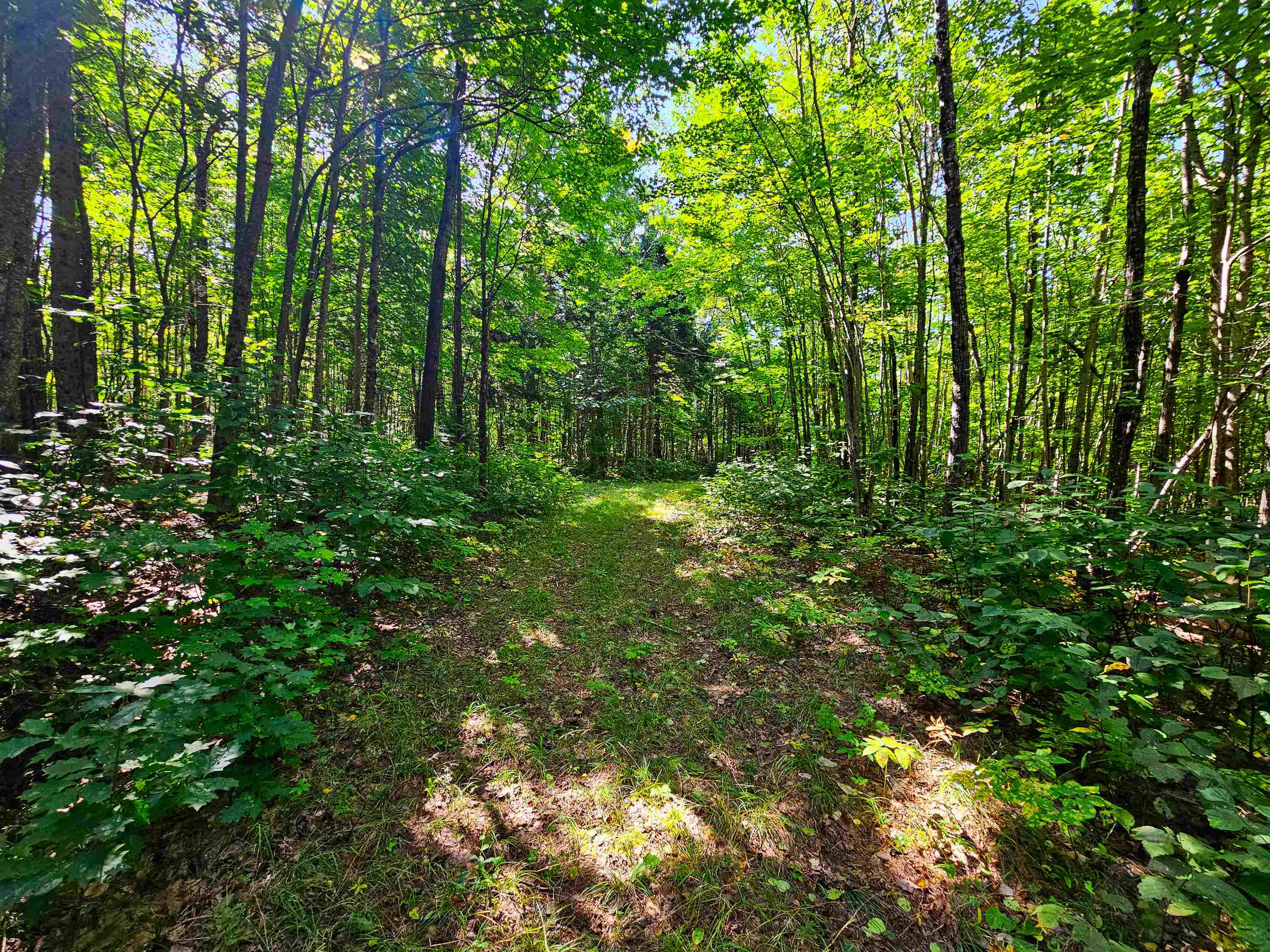 522 Mt. Misery Road Property Photo 26