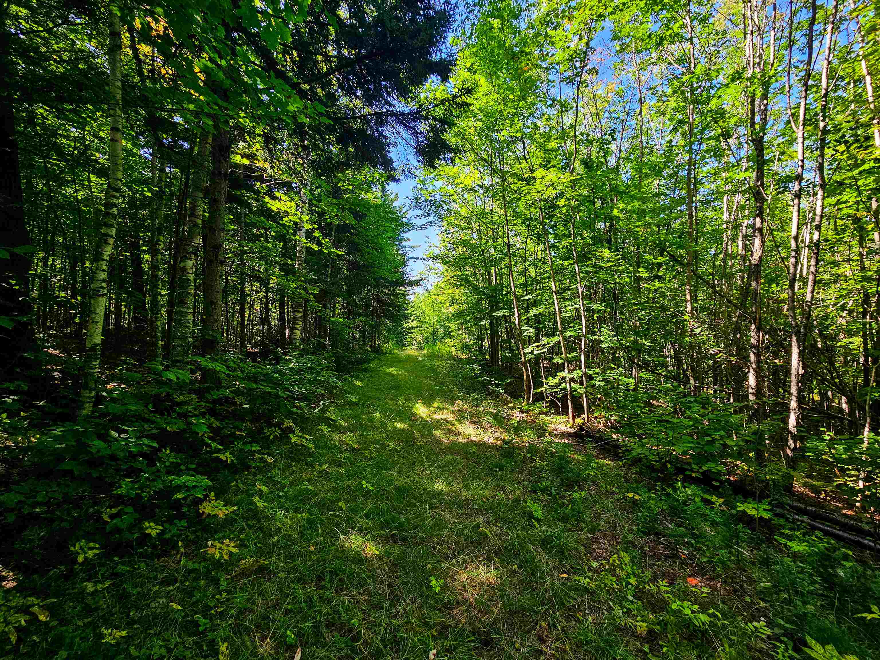 522 Mt. Misery Road Property Photo 27