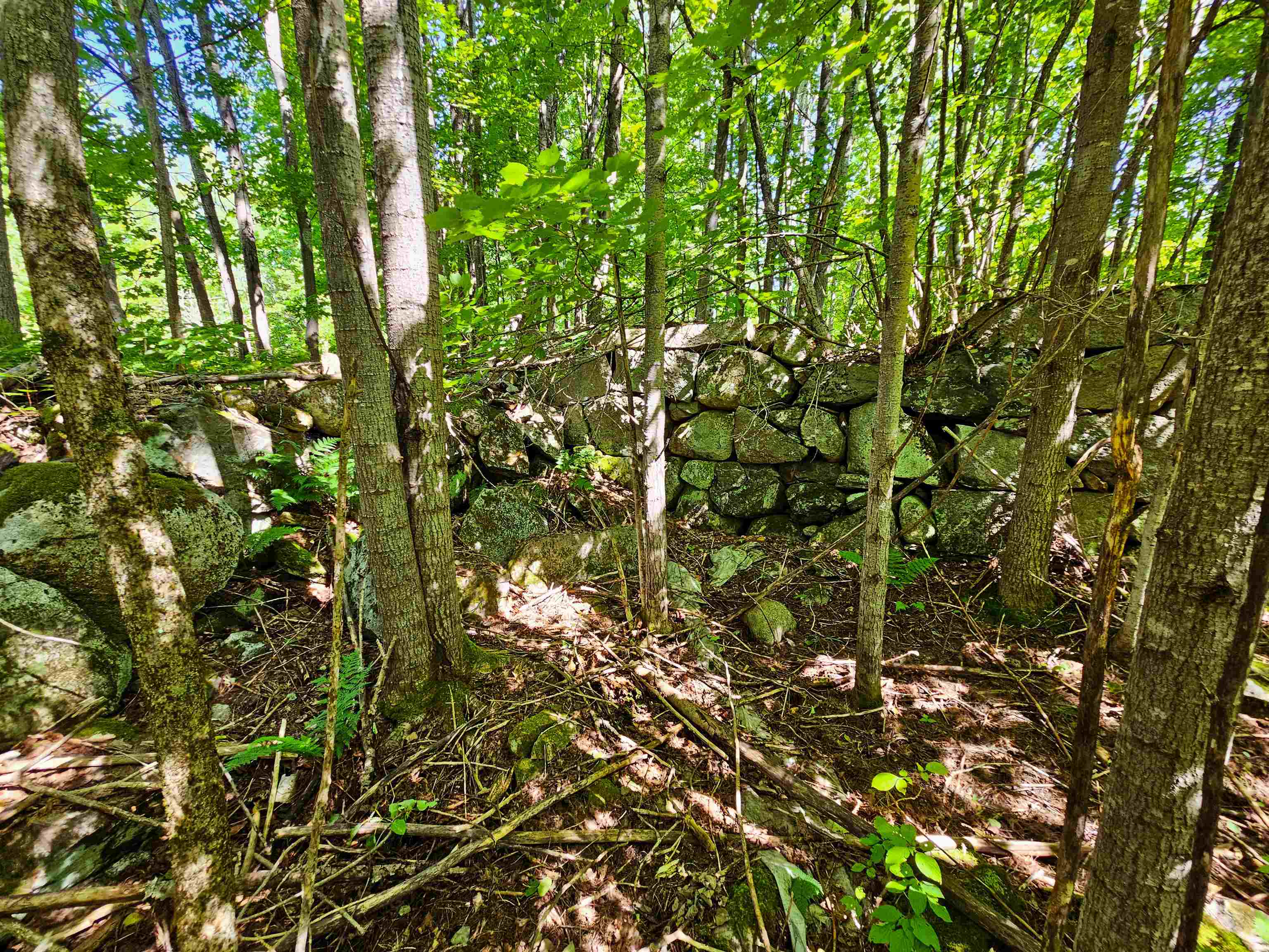 522 Mt. Misery Road Property Photo 30