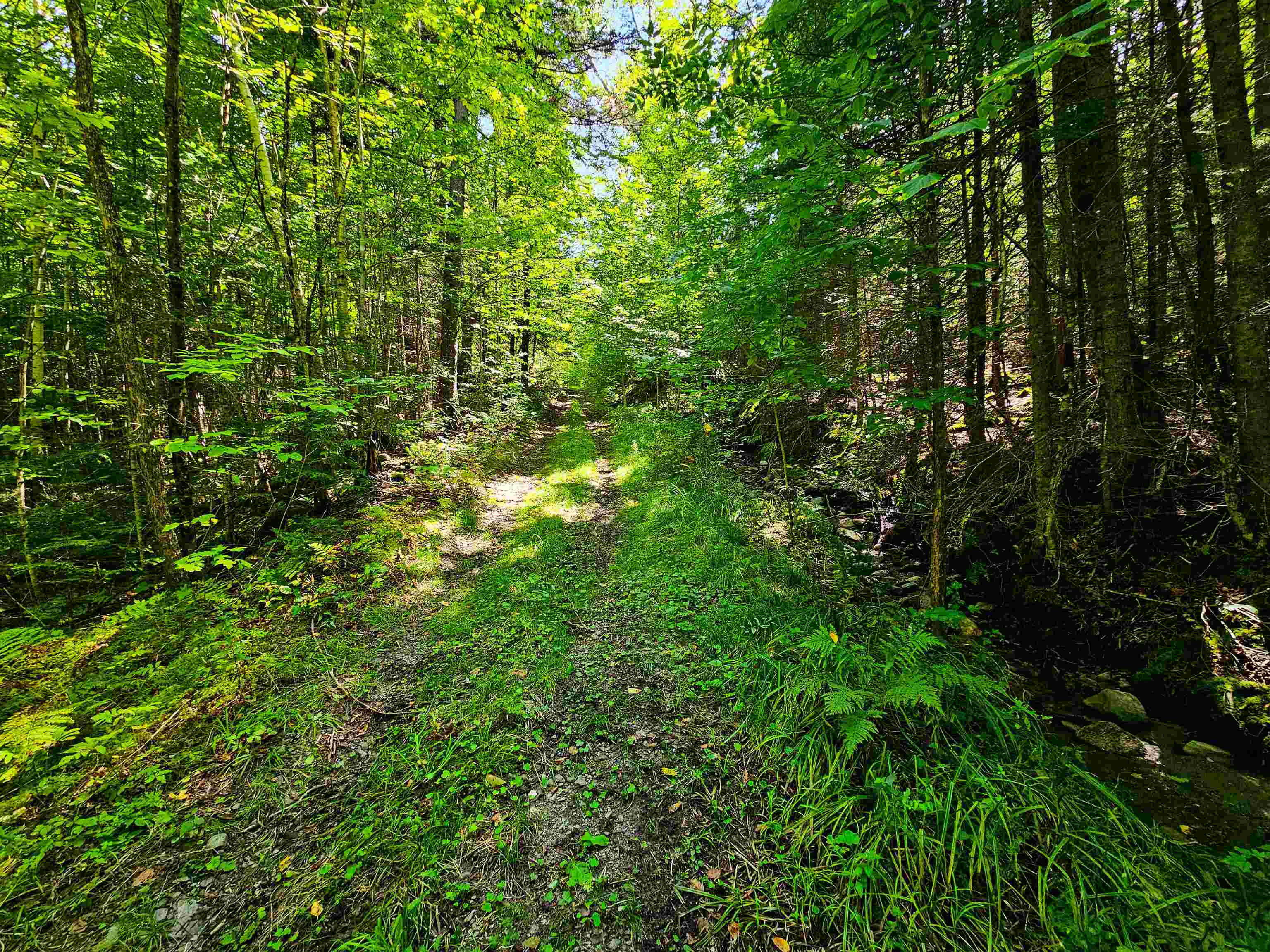 522 Mt. Misery Road Property Photo 33